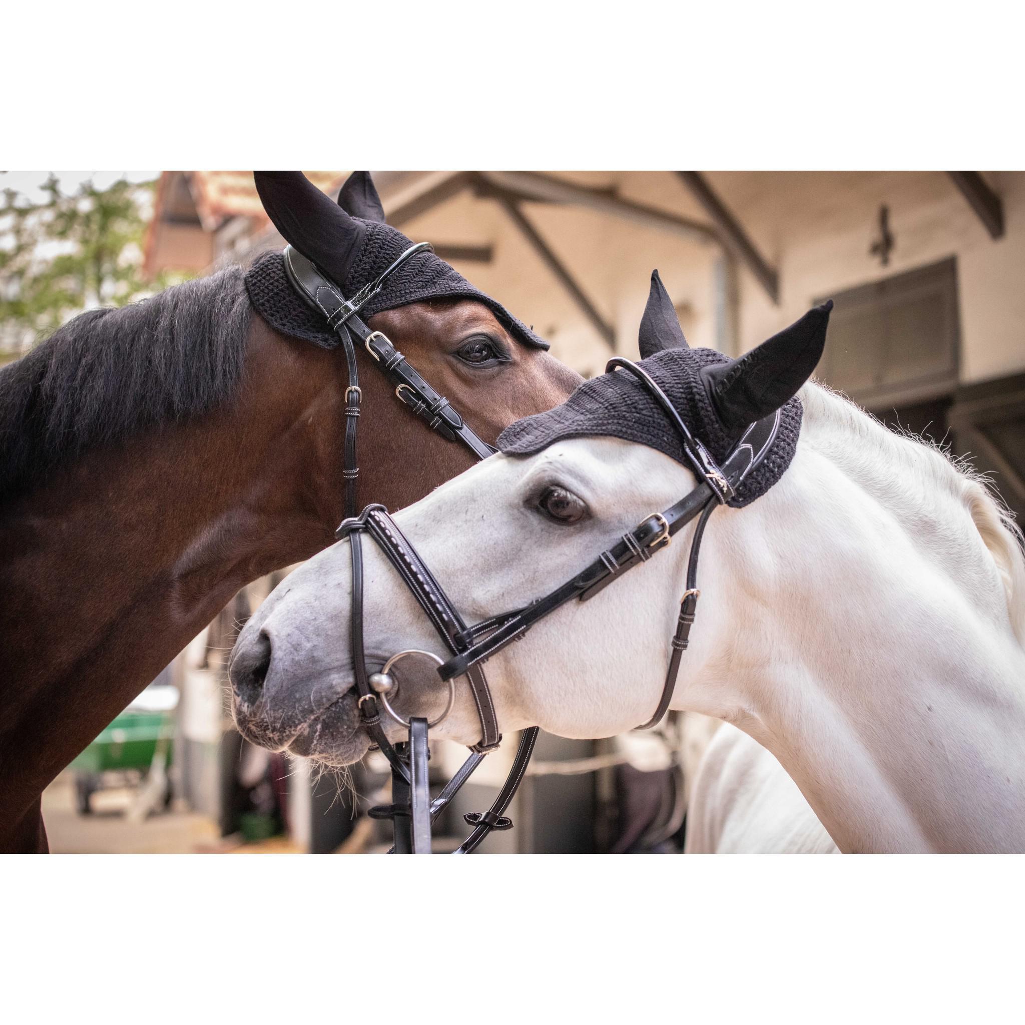 Paddock Sports Pro coton fly veil Black 306986002