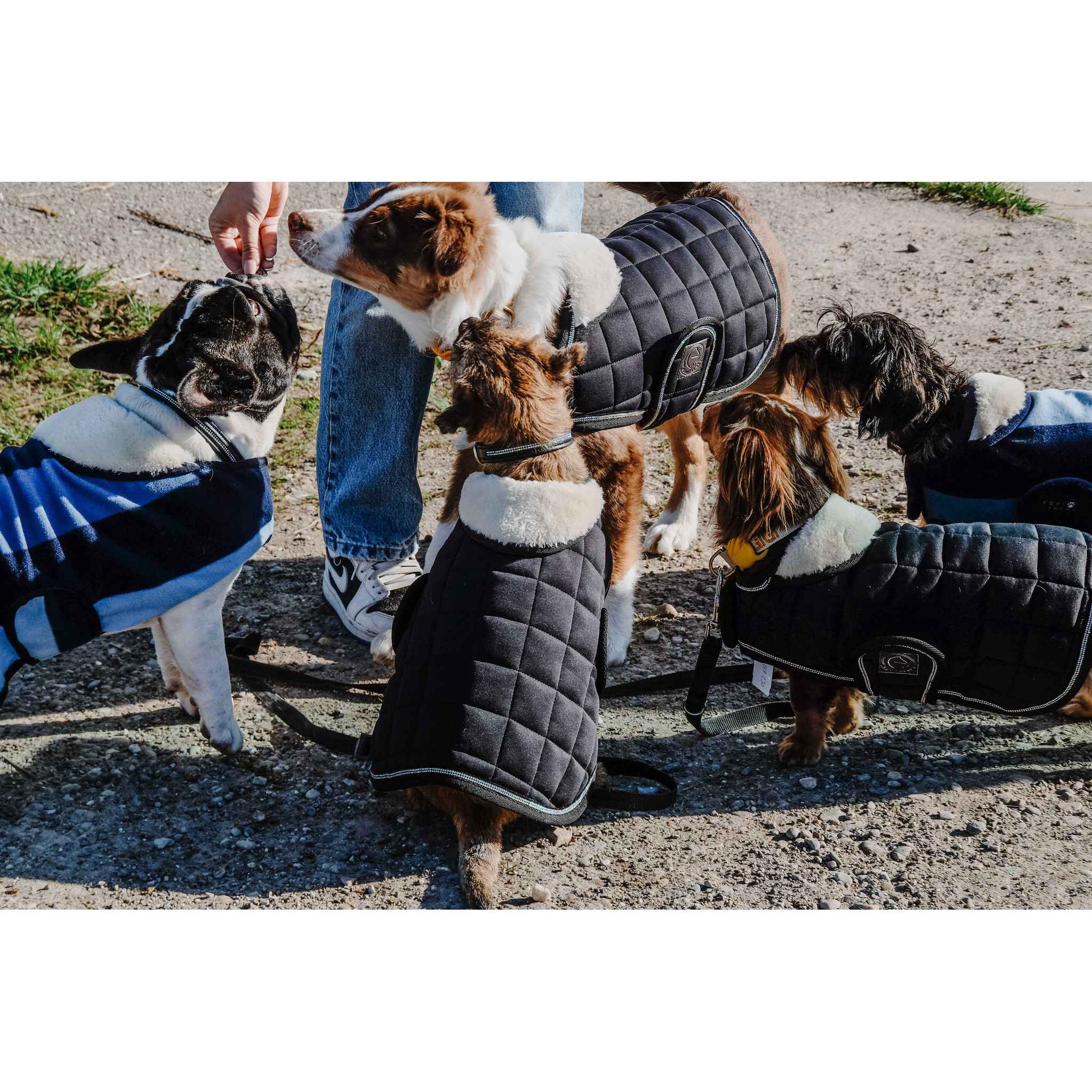 Je t'aime EQUITHÈME Velours dog rug Black 409037240