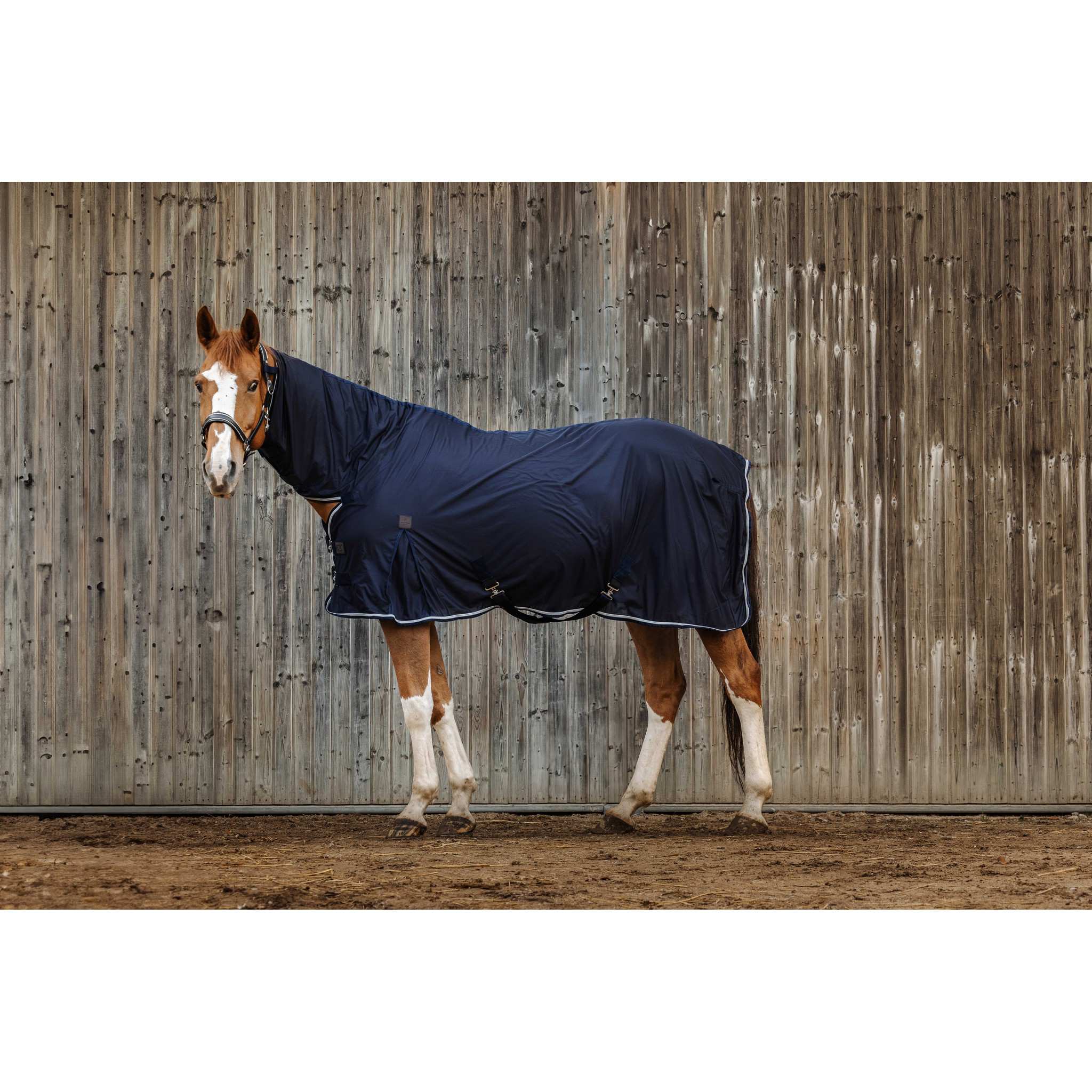 EQUITHÈME Micro Mesh Sheet - Combo Navy blue 400355063