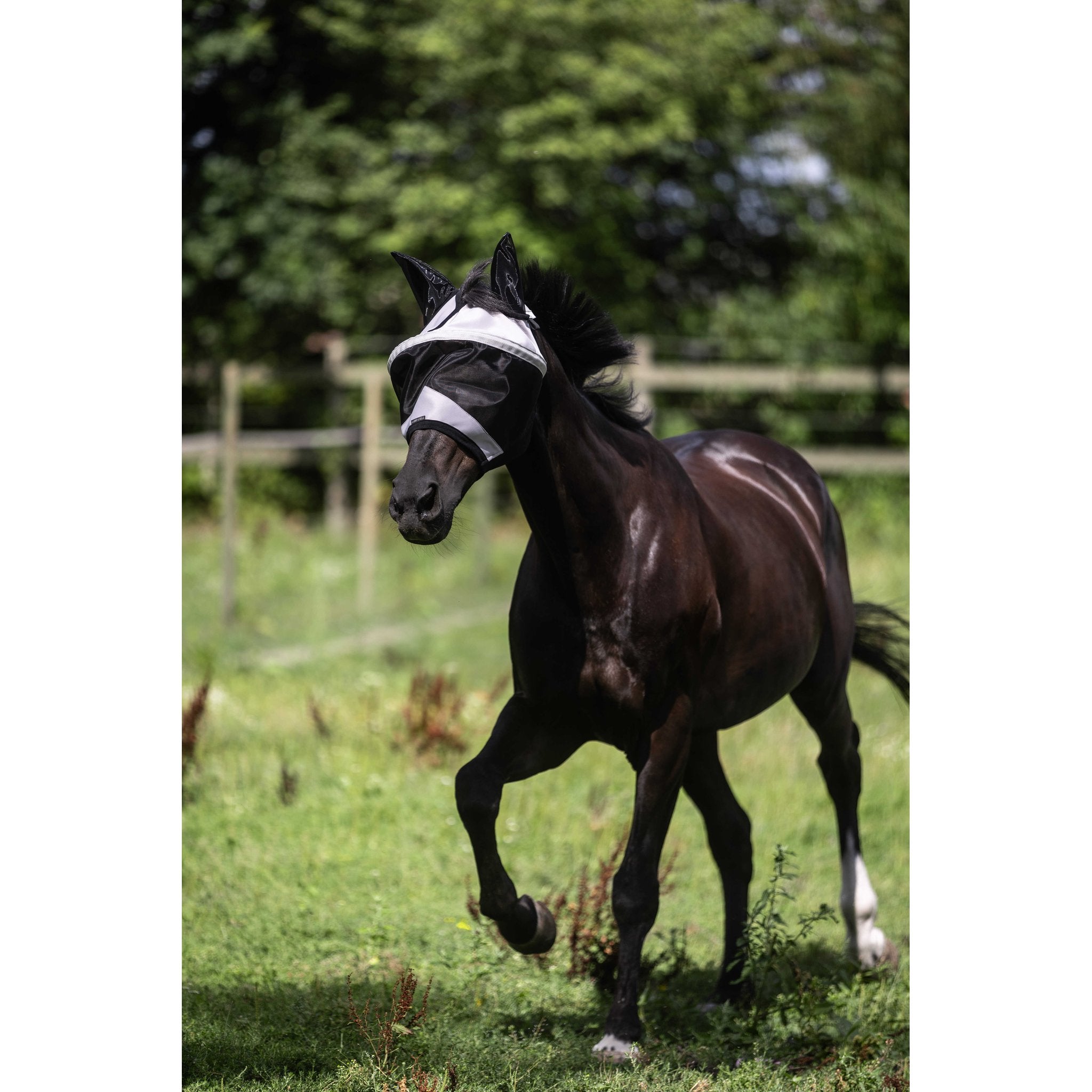 LAMI-CELL Easyfit Fly Mask Grey - 306048311_ambi_2