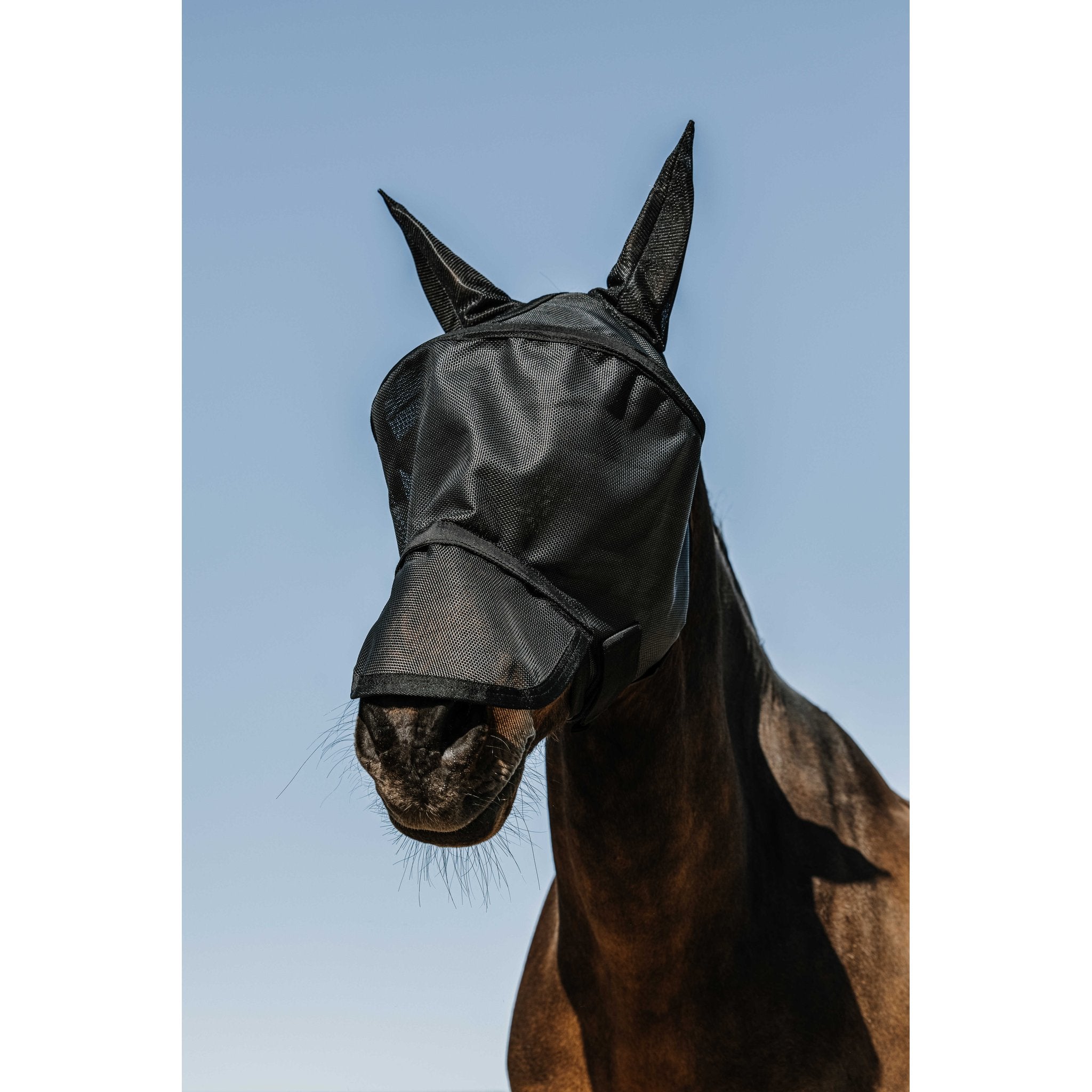 EQUITHÈME Protec Anti-UV Fly Mask Black - 306020003_ambi_1