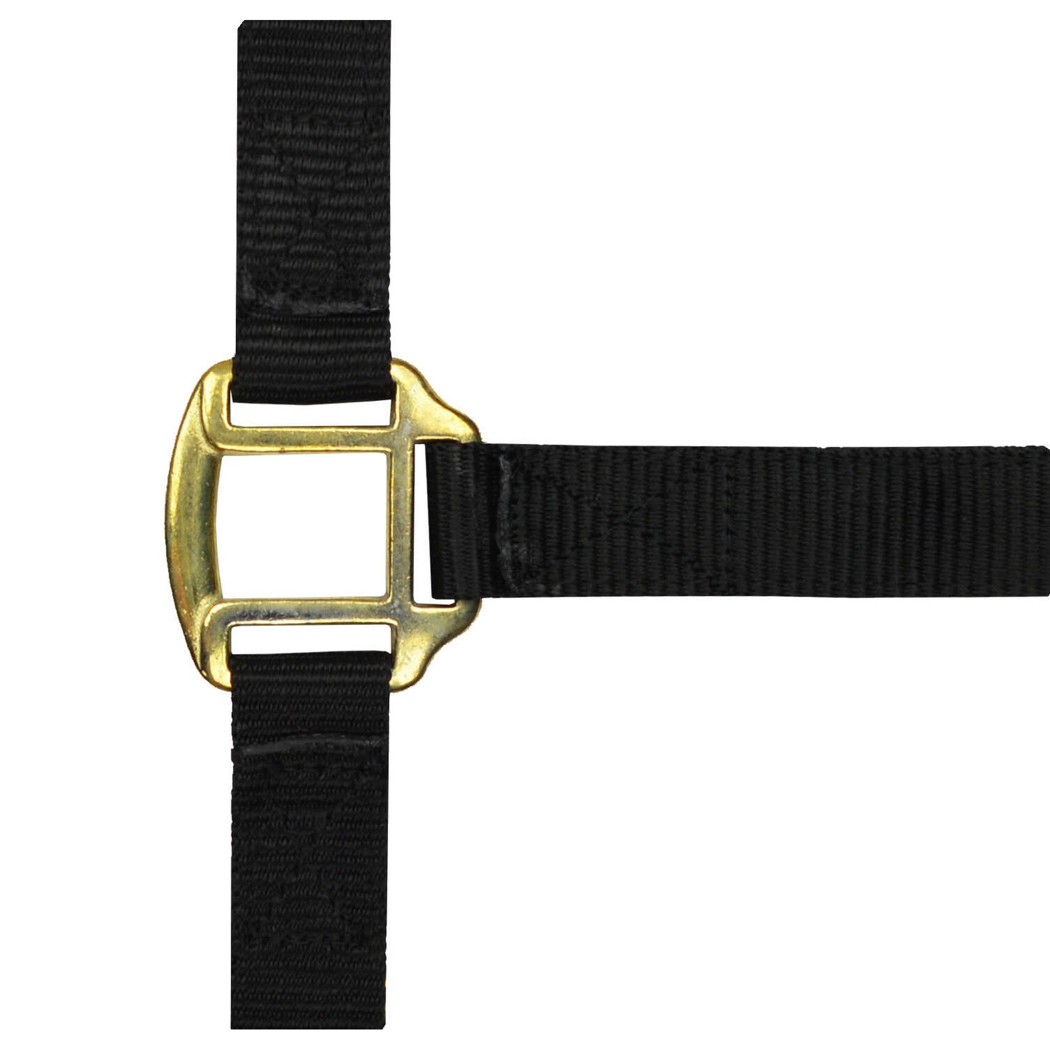 Norton Leather lined nylon headcollar Black 510185002