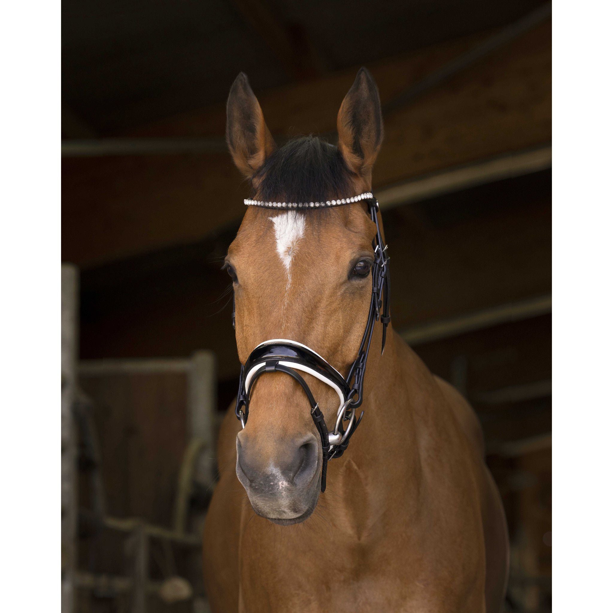 Norton Pro Bella Bridle Black 301891302