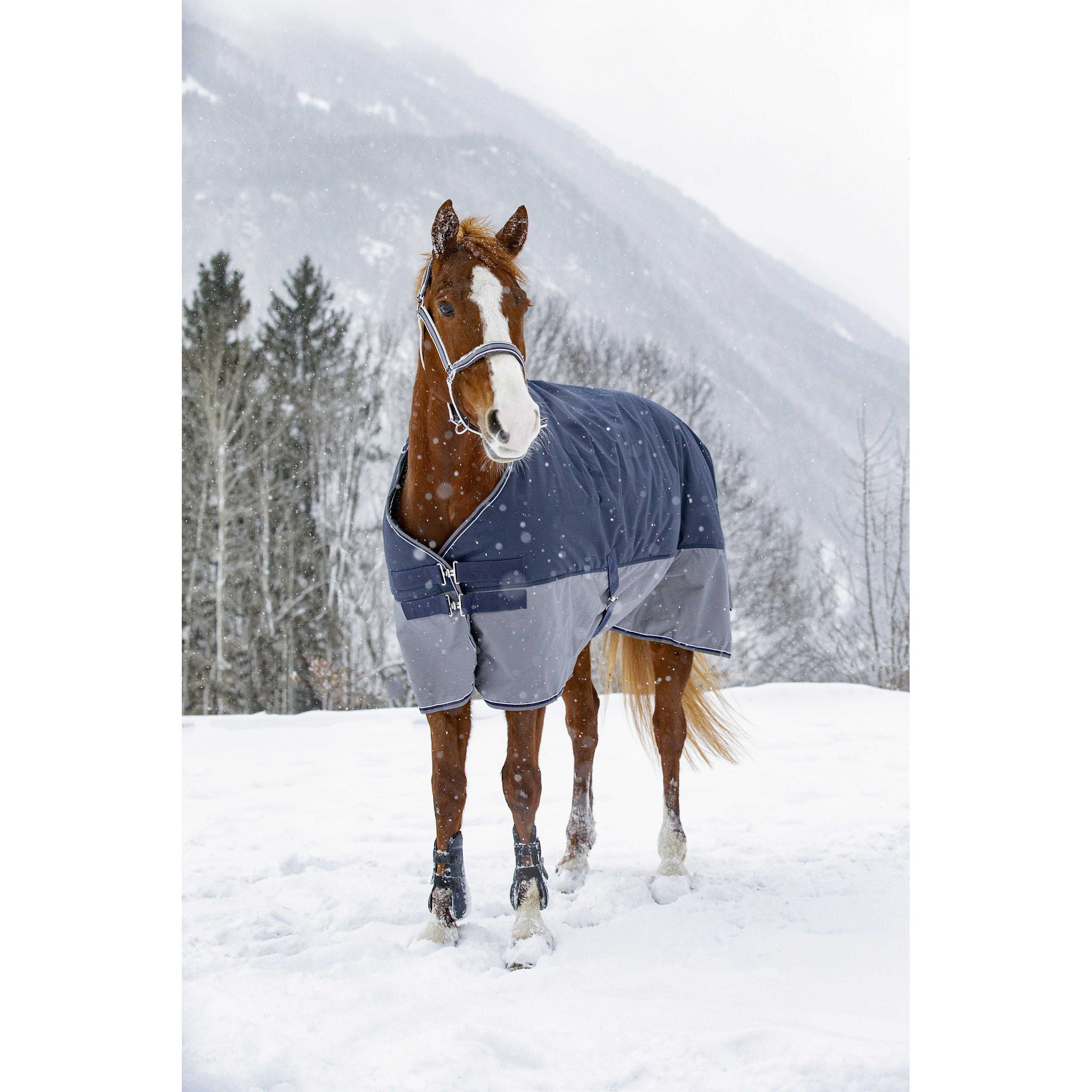 EQUITHÈME Tyrex New 600D Rug - Standard Navy blue/grey 400911763