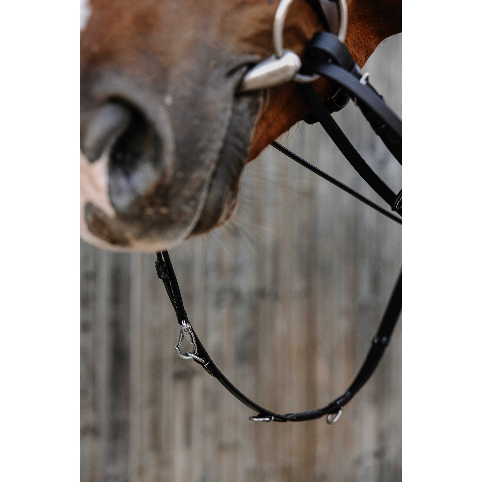 Norton Pro Thiedeman side reins Black 306426102