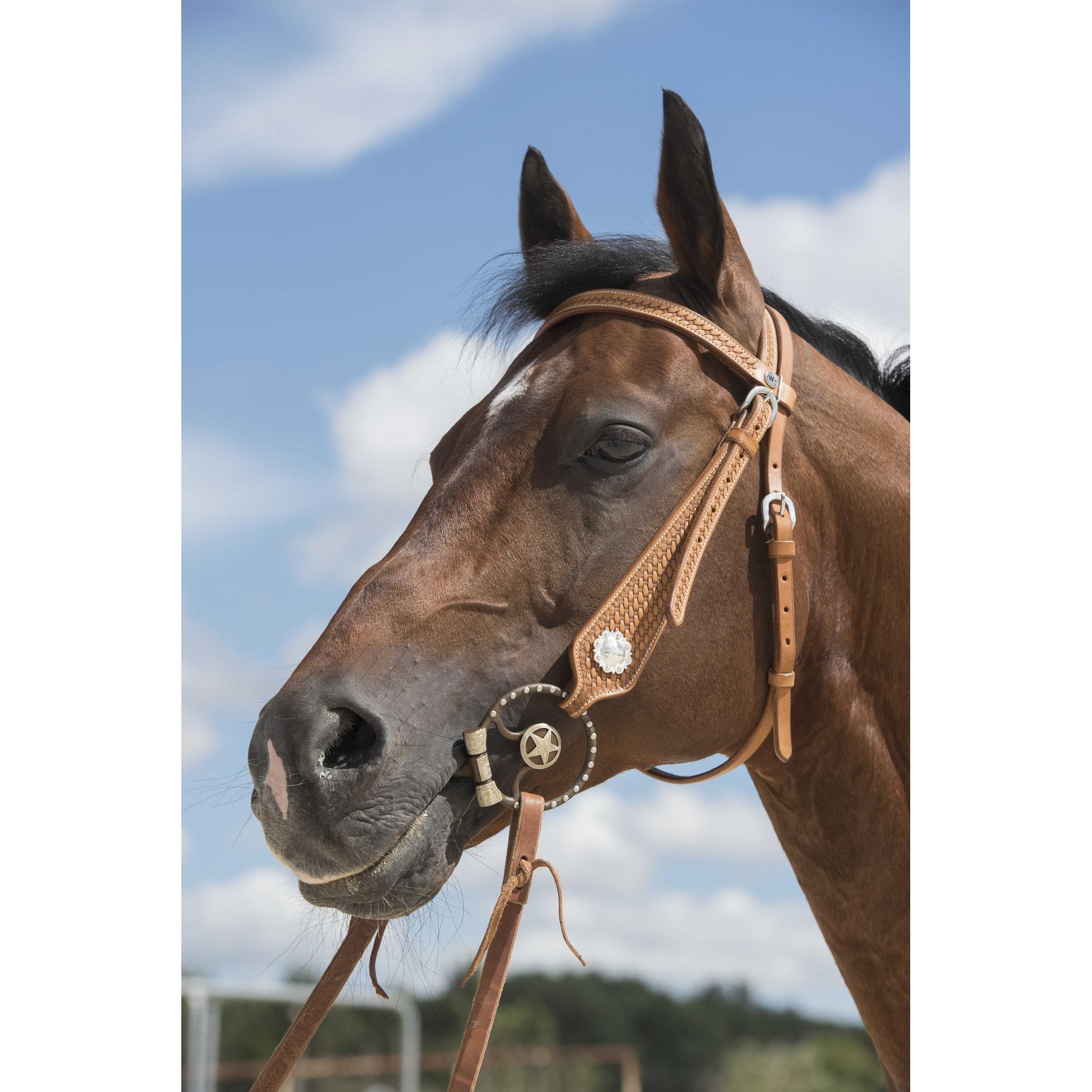Westride Aurora Bridle by Franck Perret Chestnut 802063317