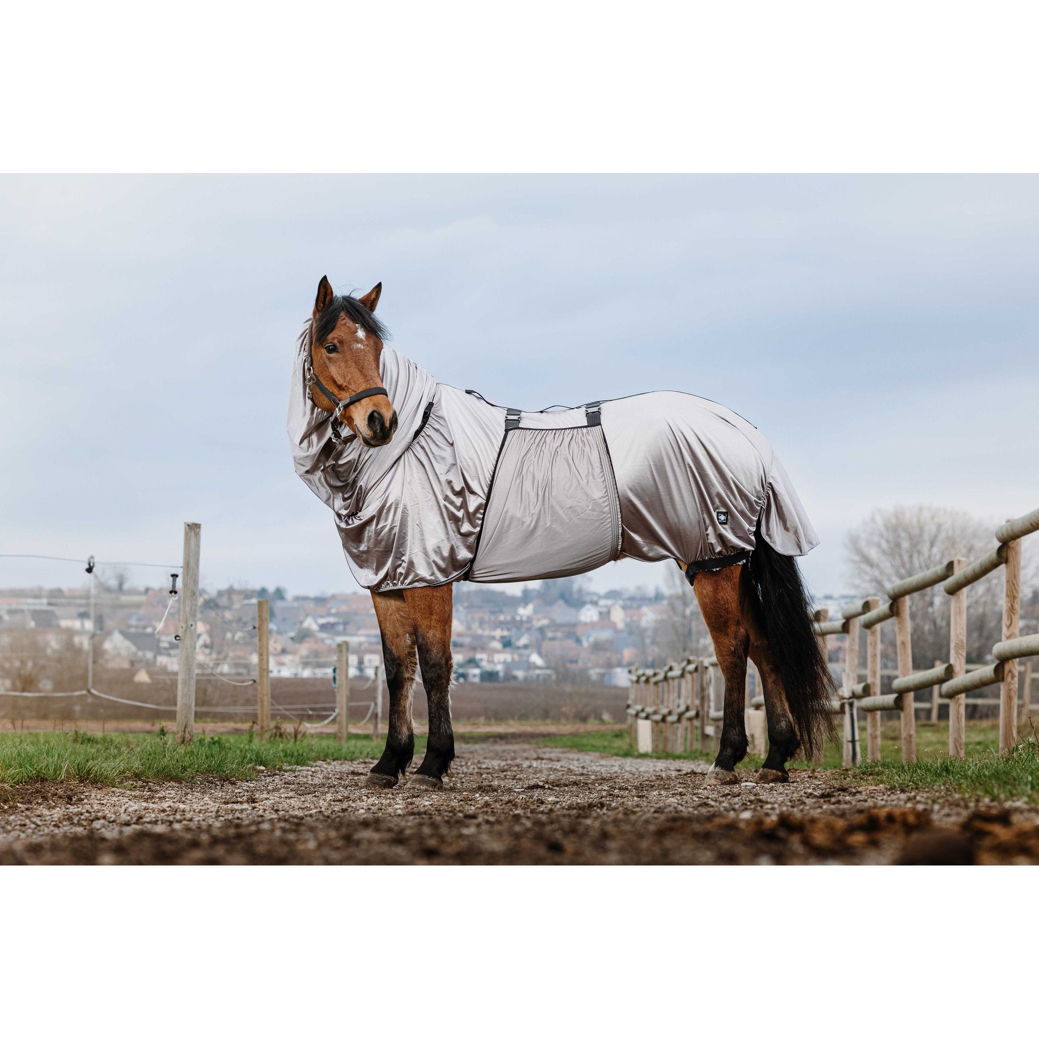 Riding World Anti-Eczema Sheet Grey 400707059