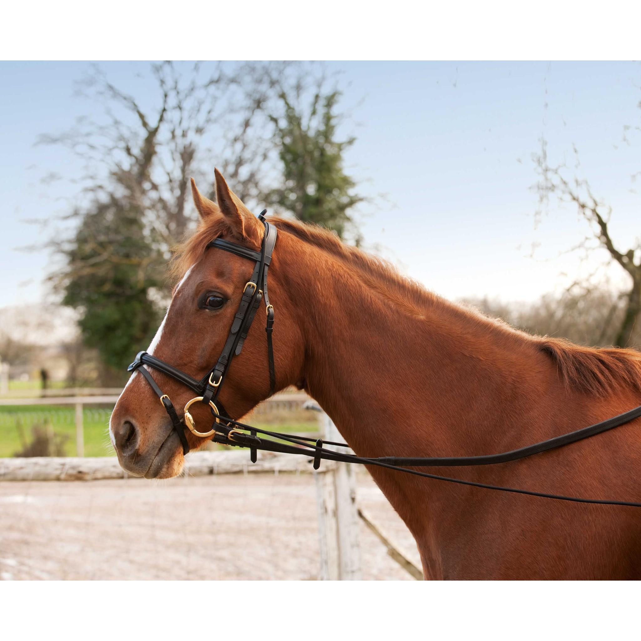 Norton Elastic training reins adjustable Black 306411002