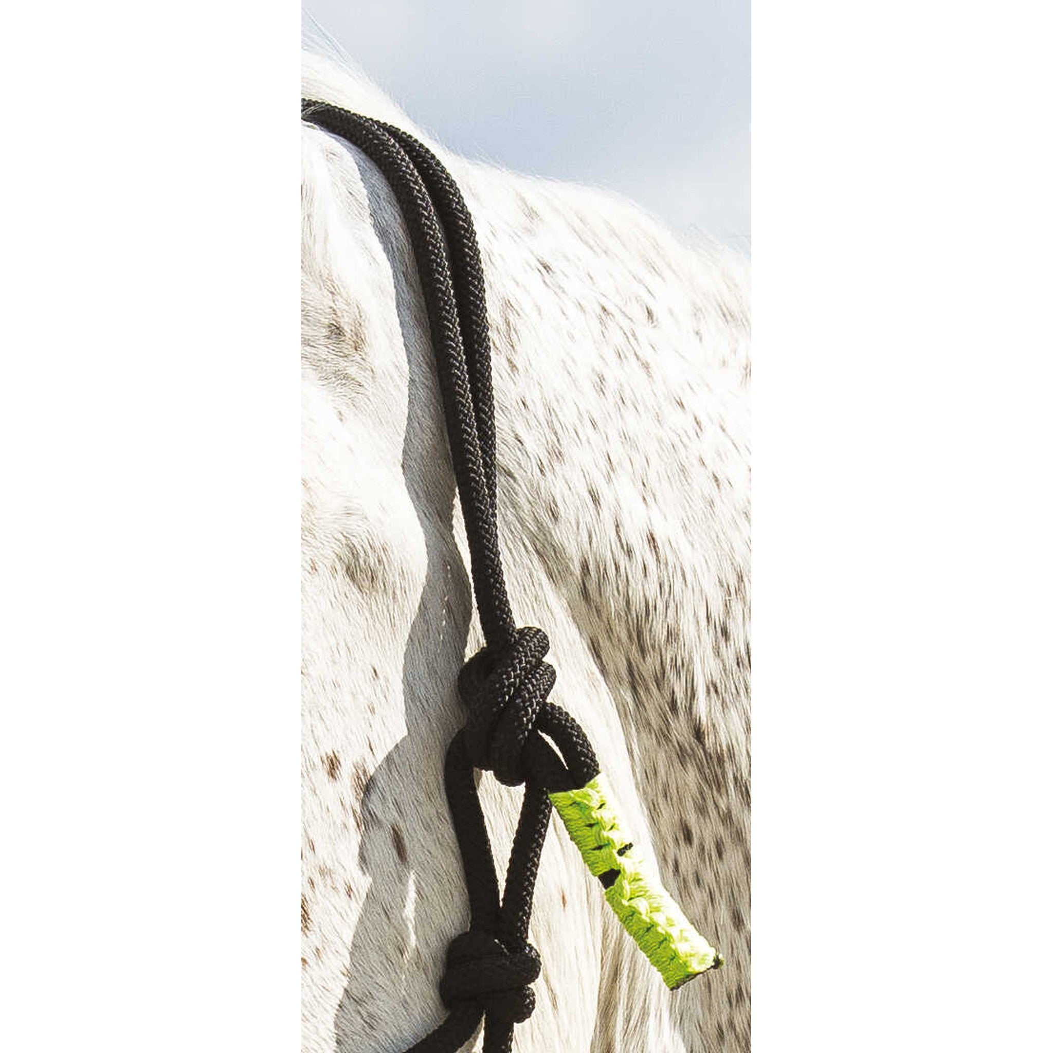 Norton Fun colour Ethological halter + lead rope Black/neon green 510160328