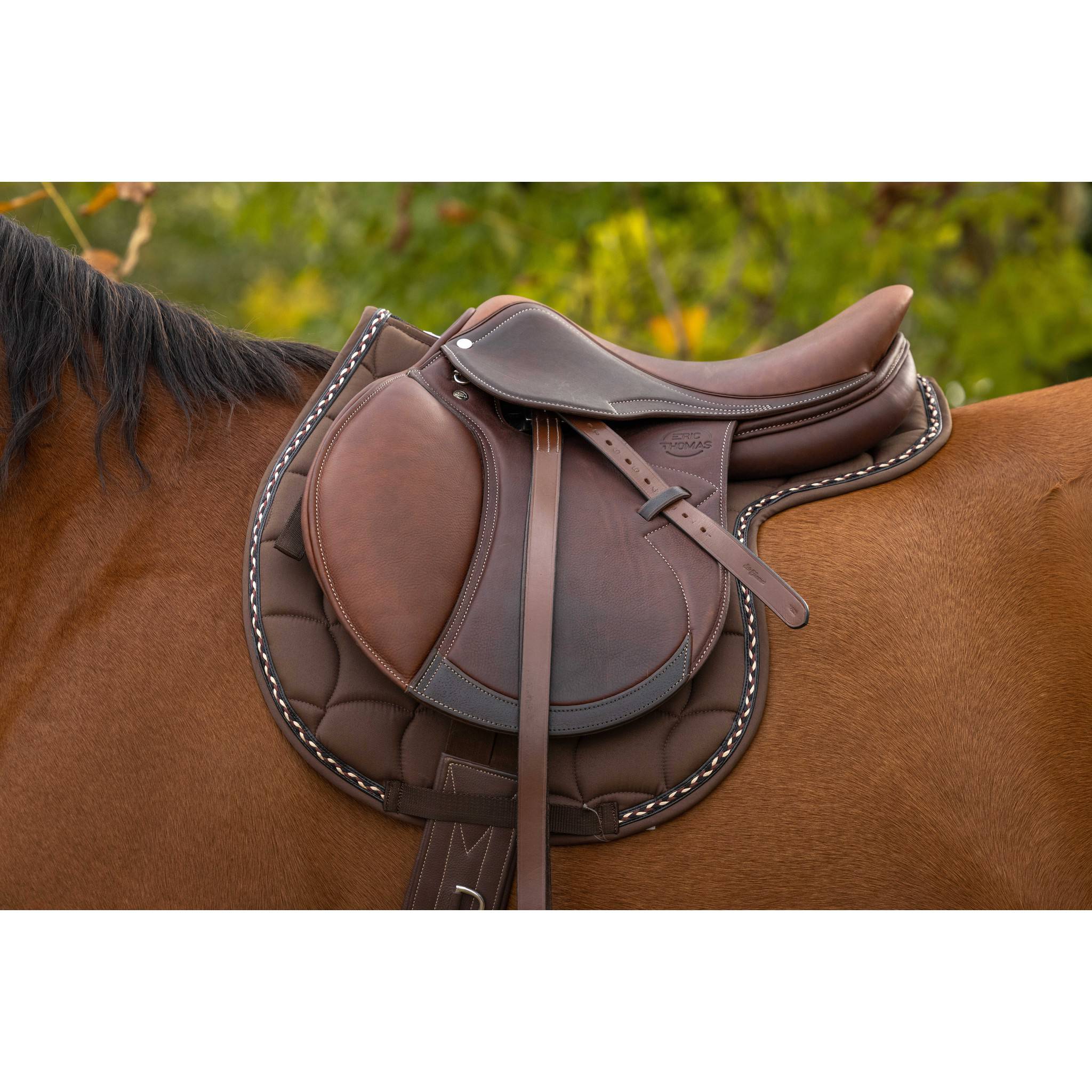 EQUITHÈME Saddle pad - Hunter Chocolate 204475004