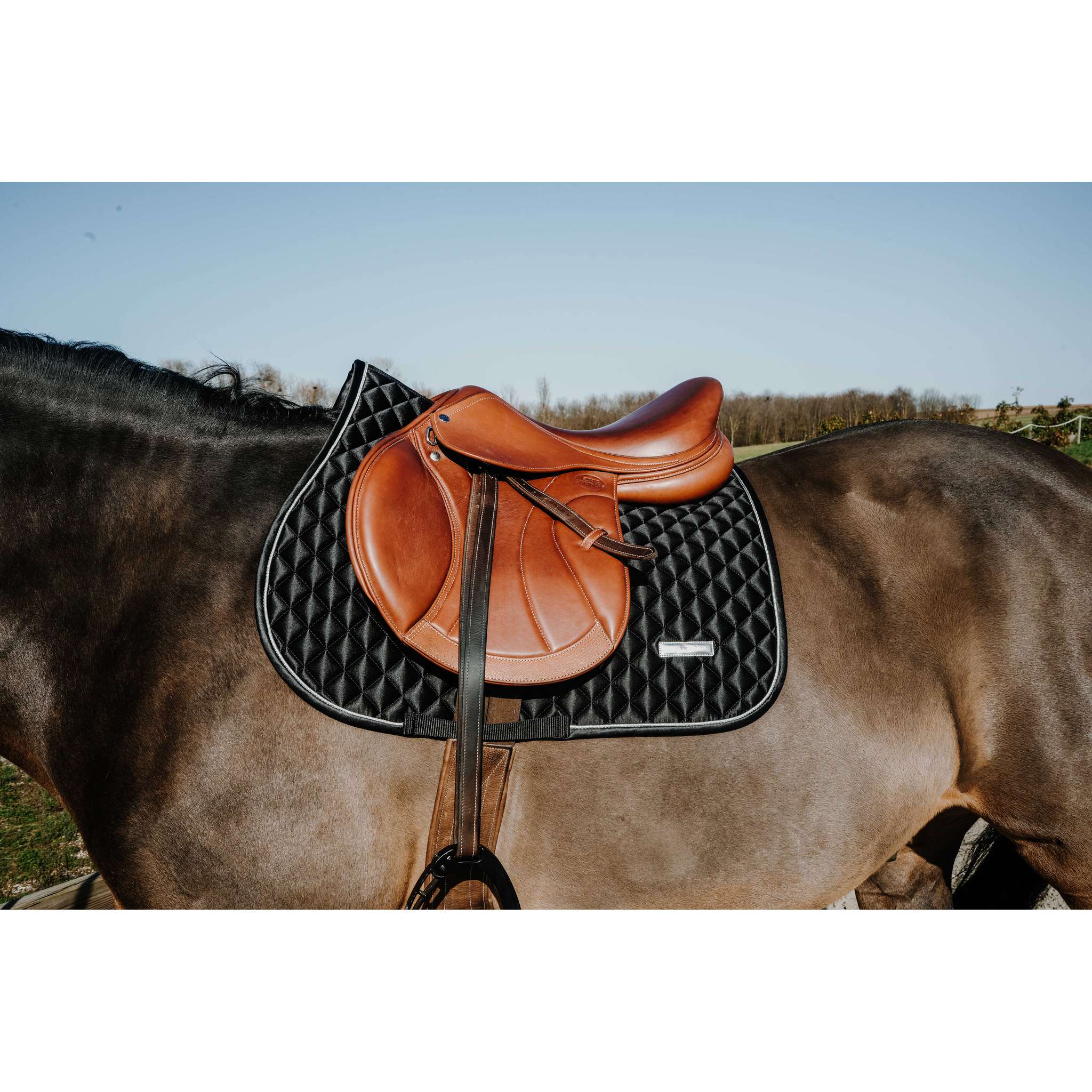 EQUITHÈME All-Purpose Saddle Pad - Mother of Pearl Black - 204029002_ambi_1