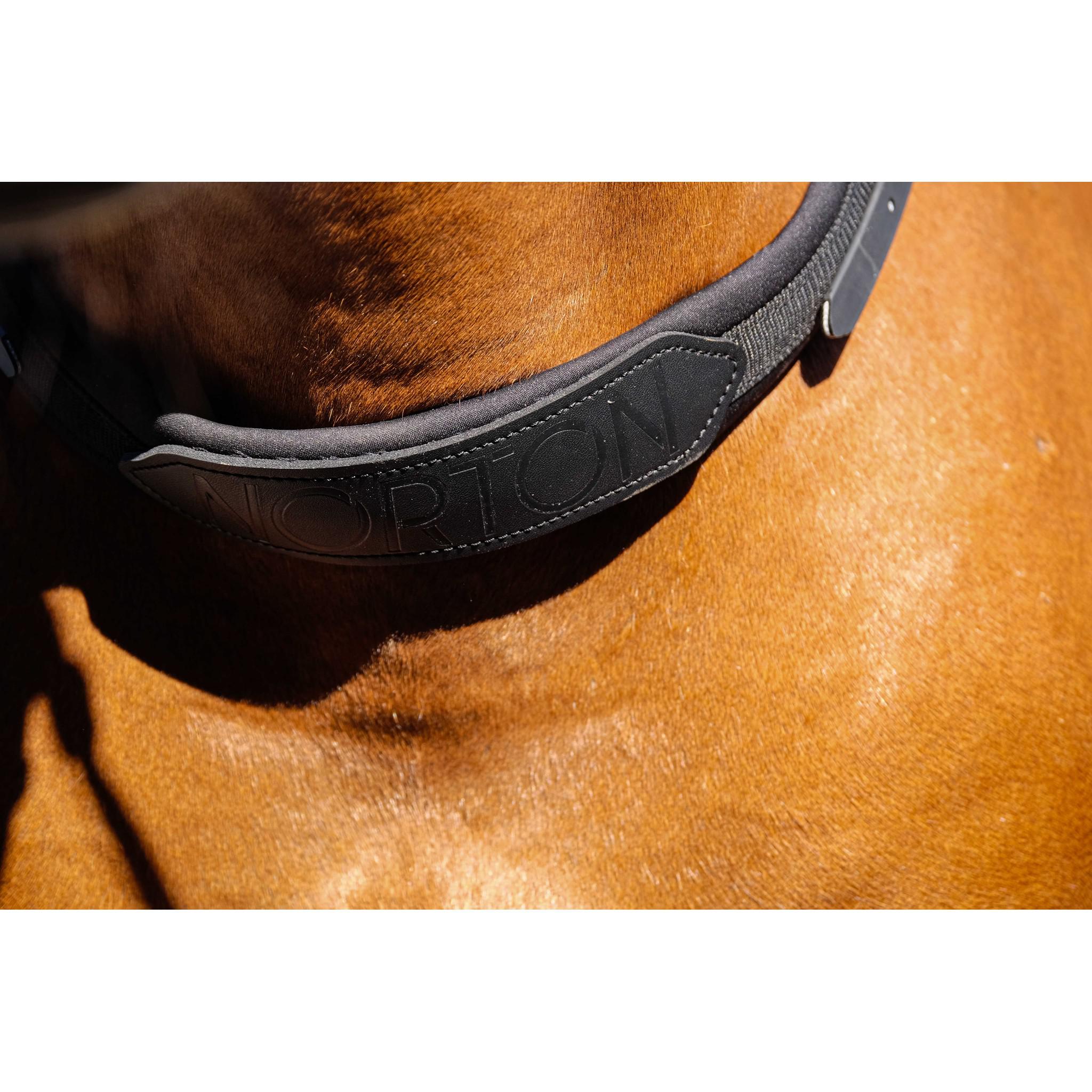Norton Neck Collar Black 306591002