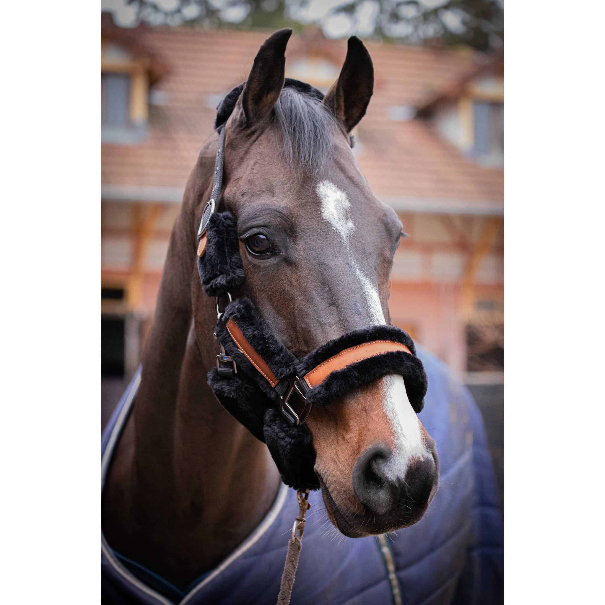 Pénélope Soft halter Black/ecru 510902325