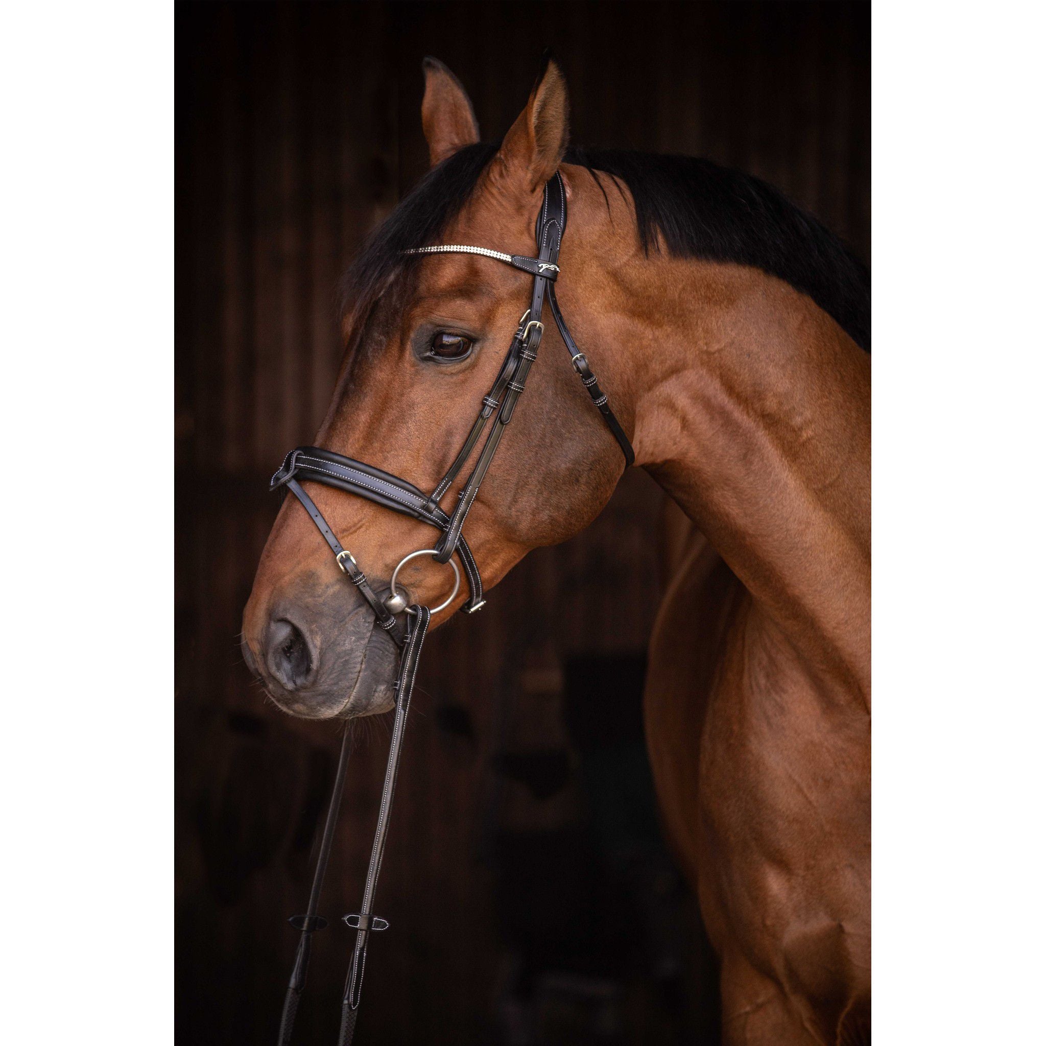 Pénélope Daily Strass Bridle Black 301613302