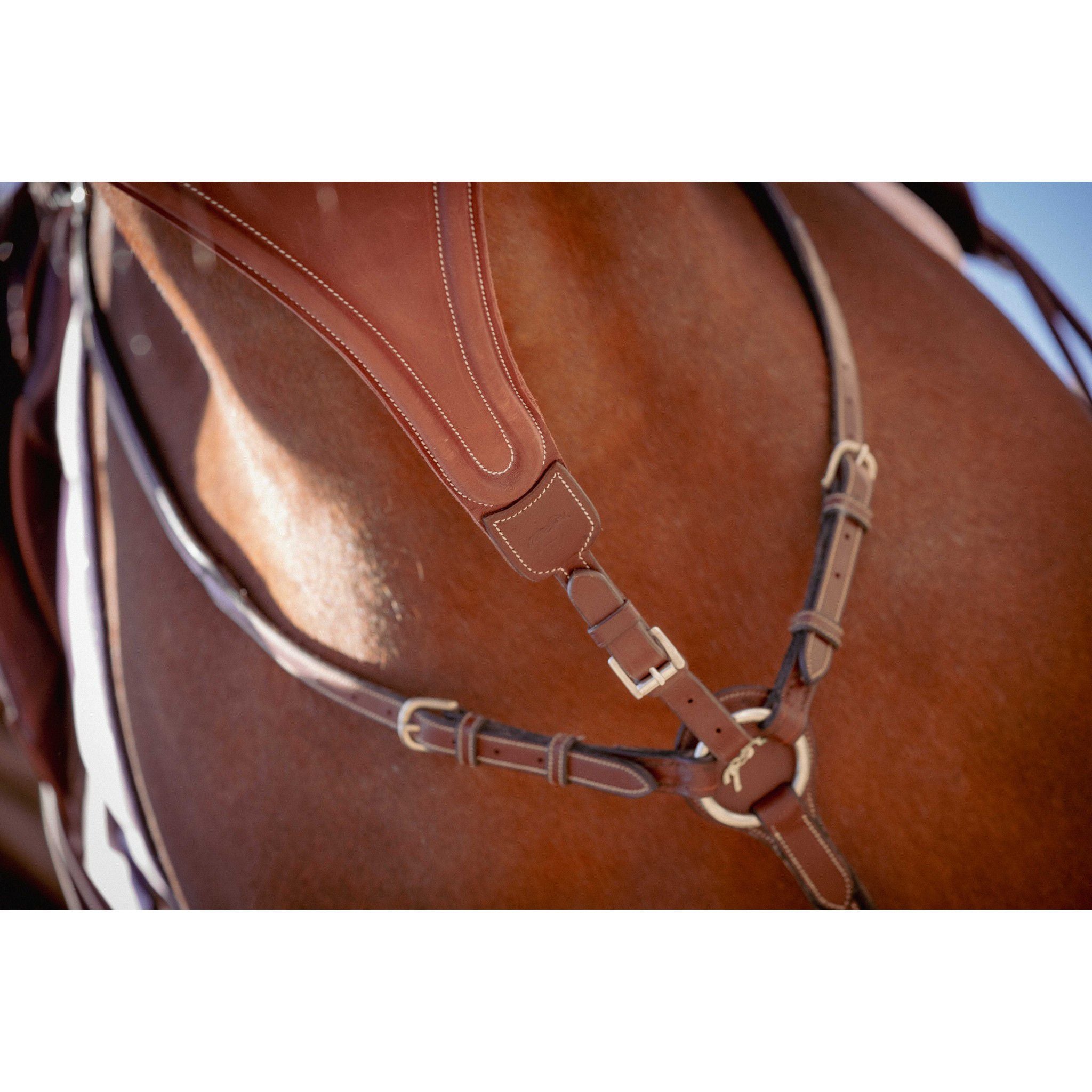 Pénélope Bip Plain Martingale Attachment Chestnut 306152004