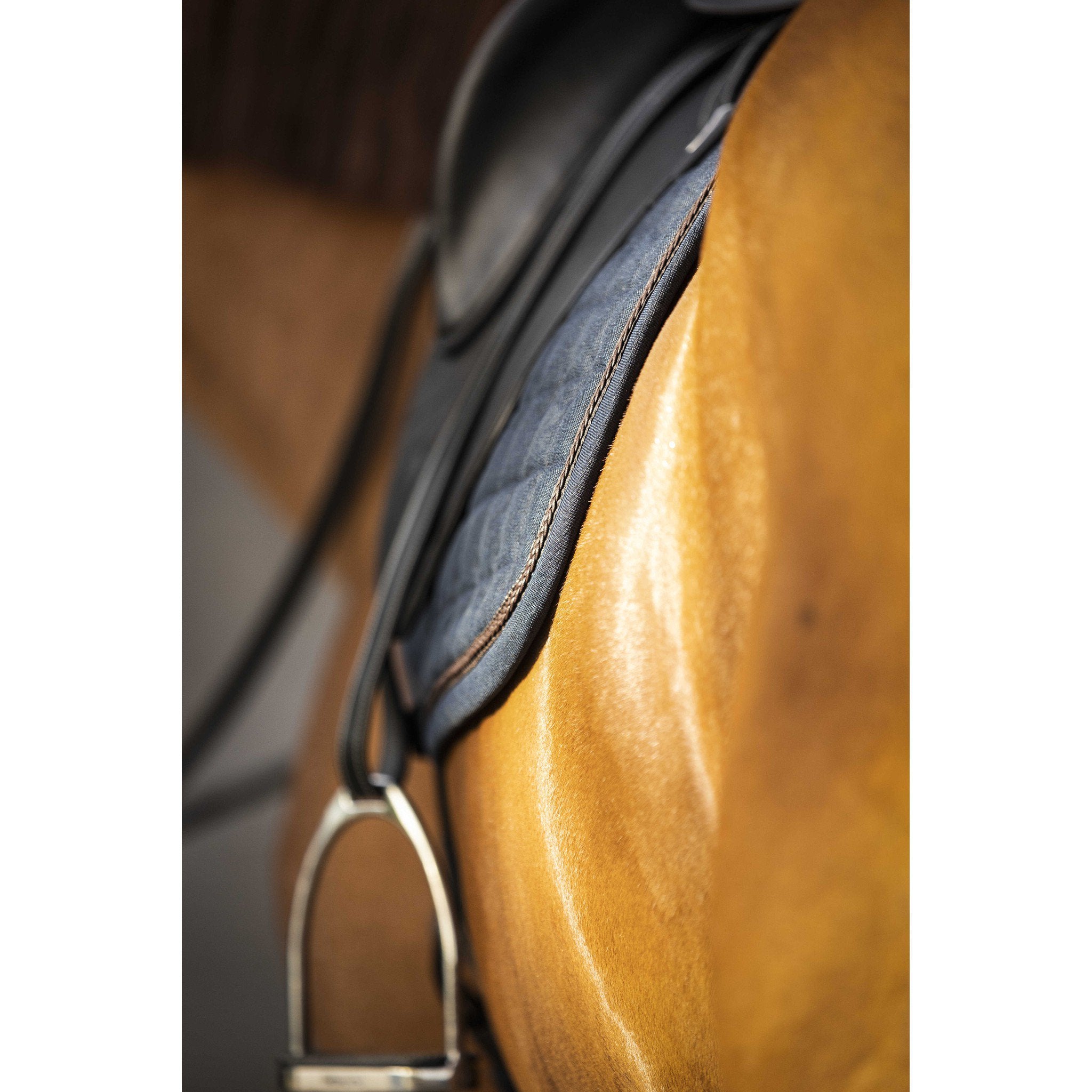 Lami-Cell Vintage saddle pad - Dressage Navy blue 220026007