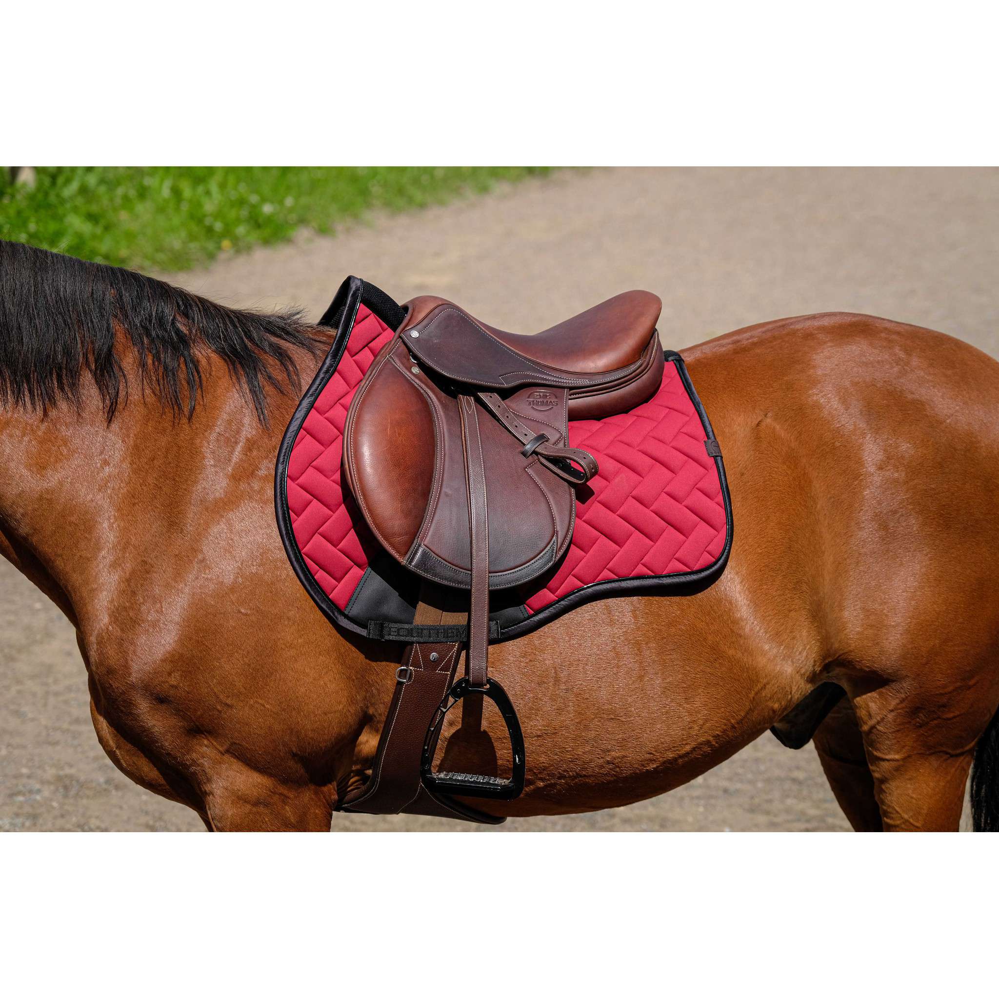 EQUITHÈME Impulsion Saddle Pad - All purpose Burgundy 204006033