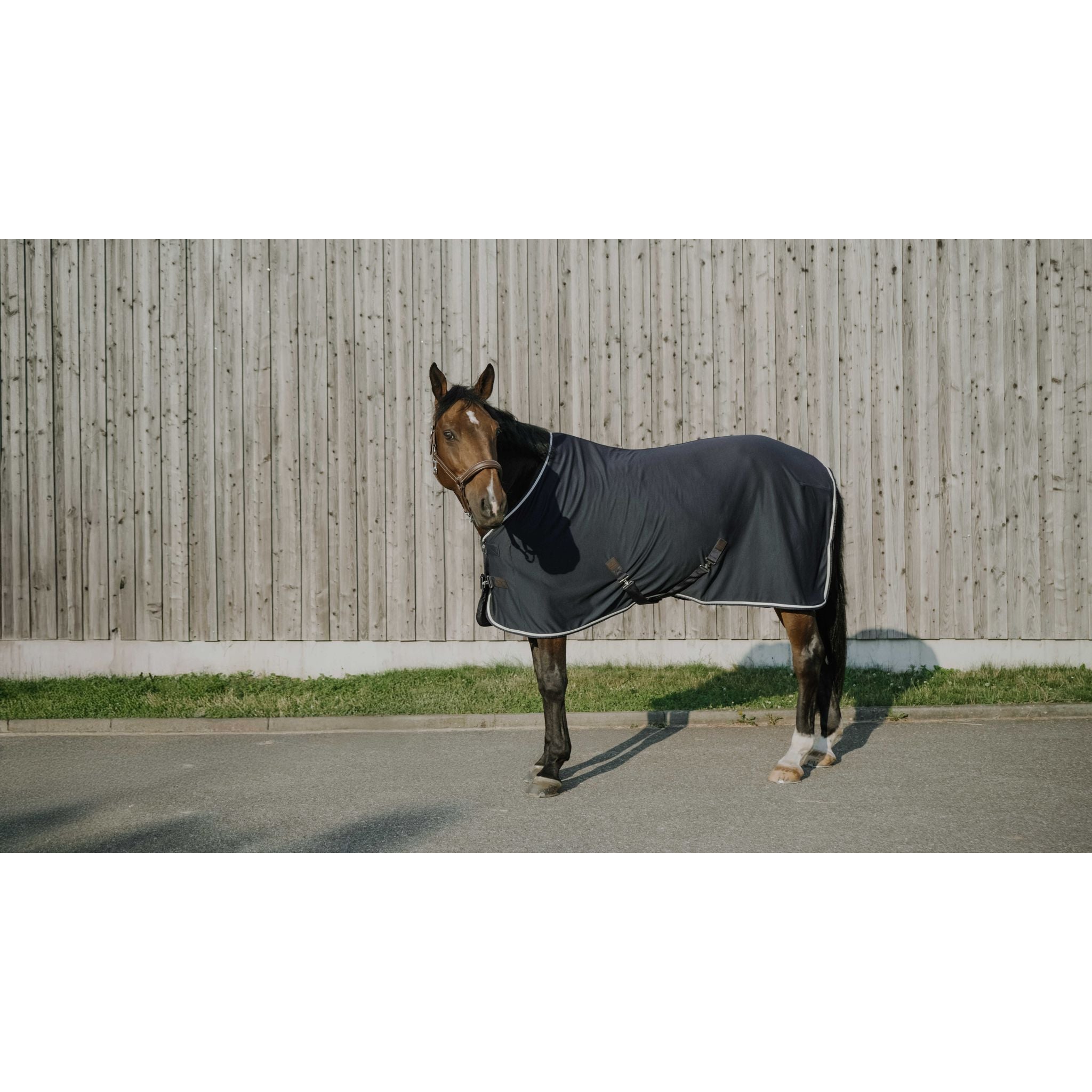 EQUITHÈME Drycool Shirt Navy blue - 400002063_ambi_2