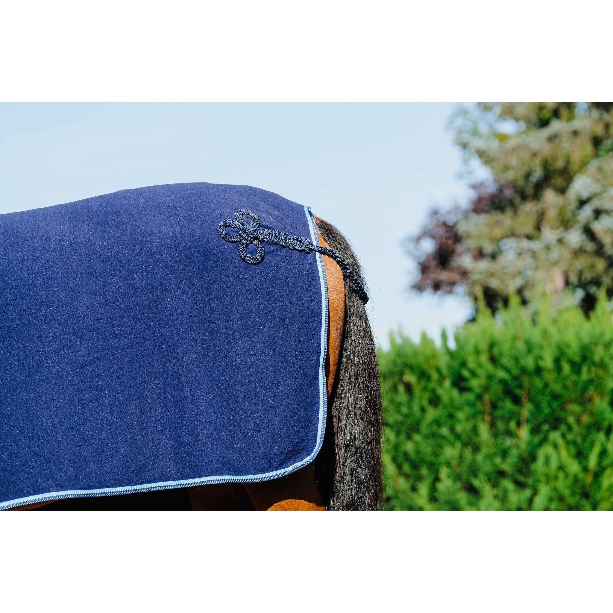 Riding World Show Sheet Navy blue 400702063