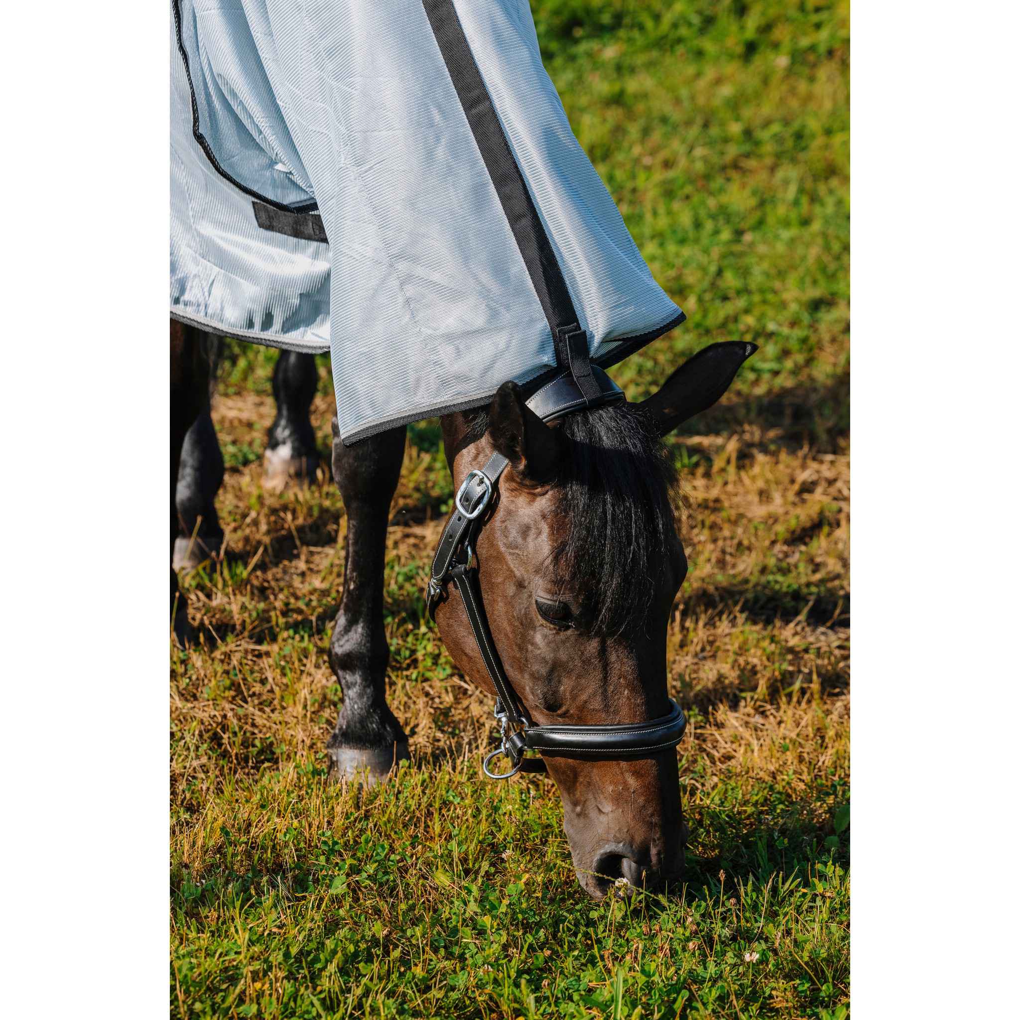 Riding World Belly Mesh Sheet - Combo Grey 400724063