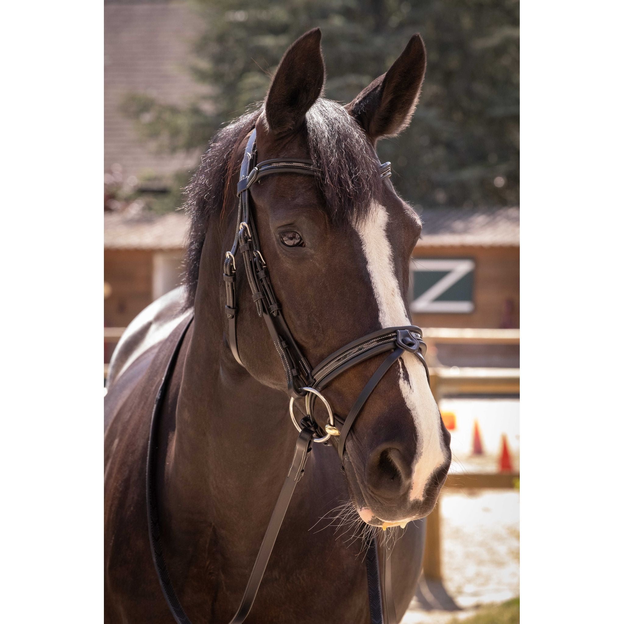 Penelope Smoothie Pearl Bridle Black - 301604302_ambi_2
