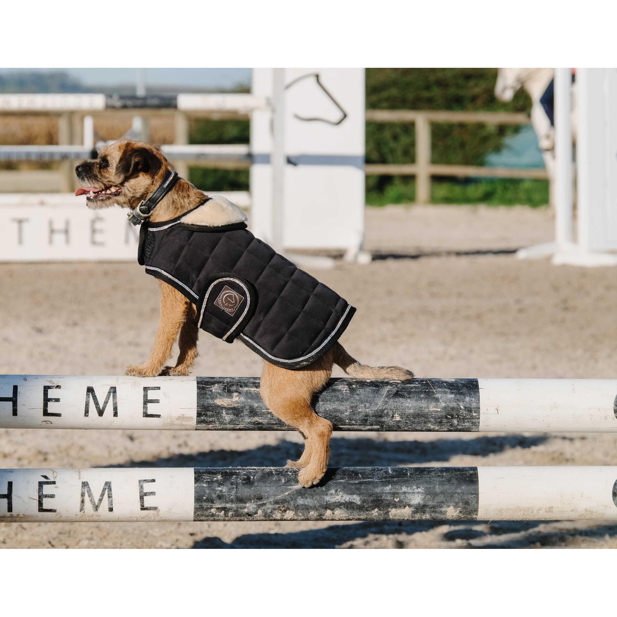 Je t'aime EQUITHÈME Velours dog rug Black 409037240