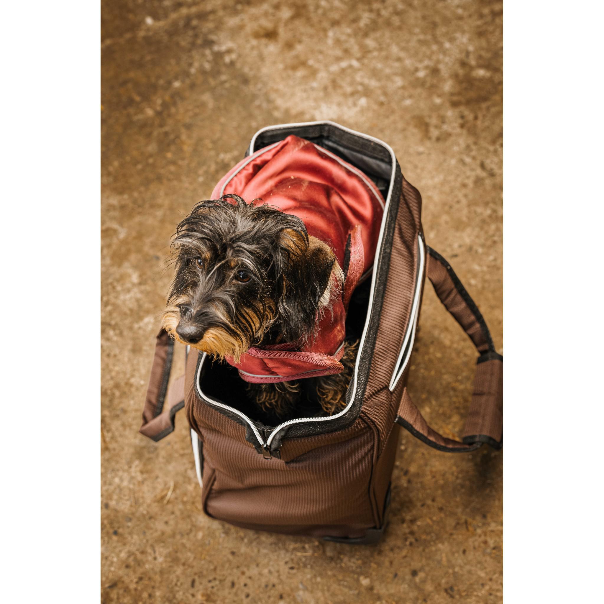 EQUITHÈME Grooming Bag with Wheels Brown 700018004