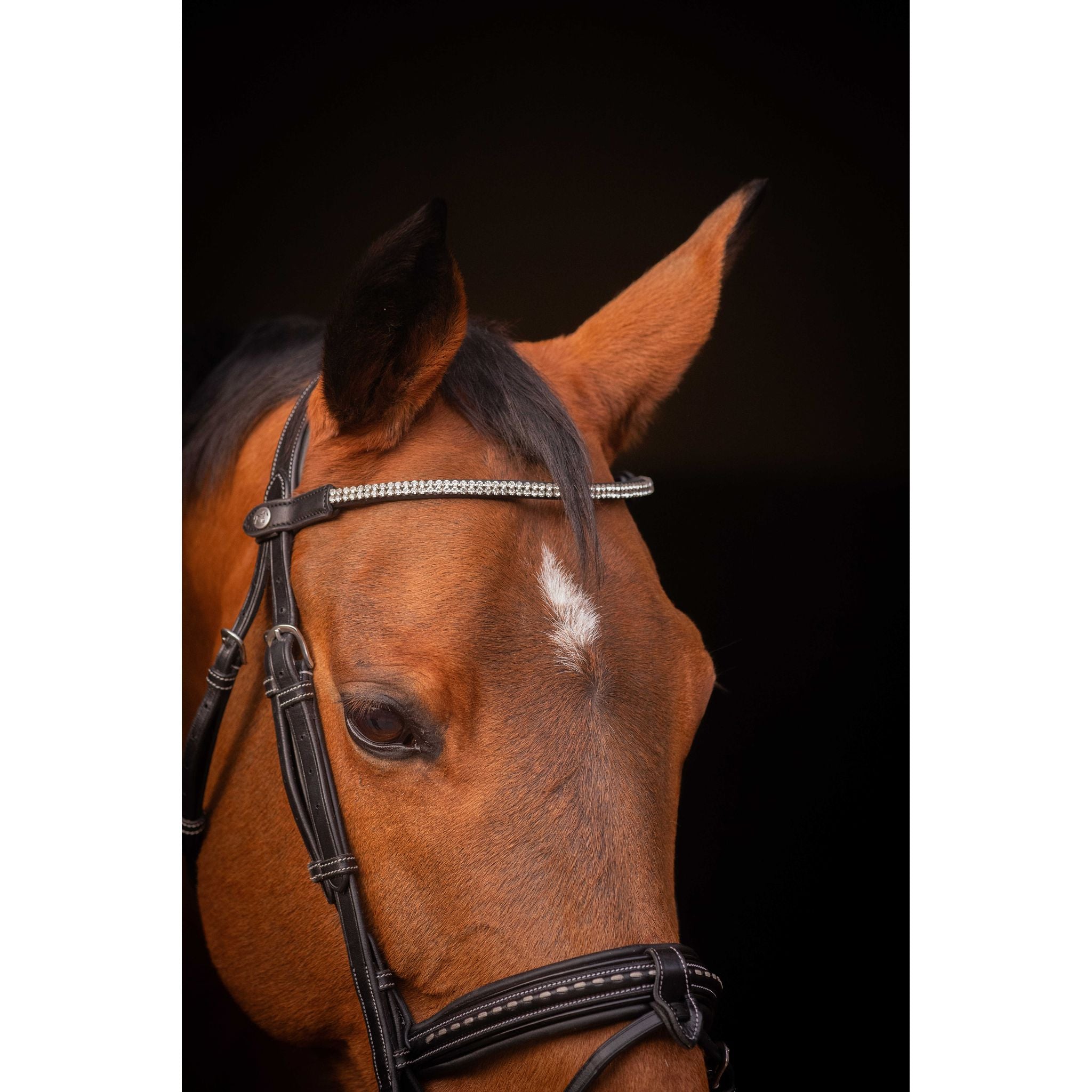 PENELOPE "Eloria" Strass Browband Black - 304401302_ambi_1
