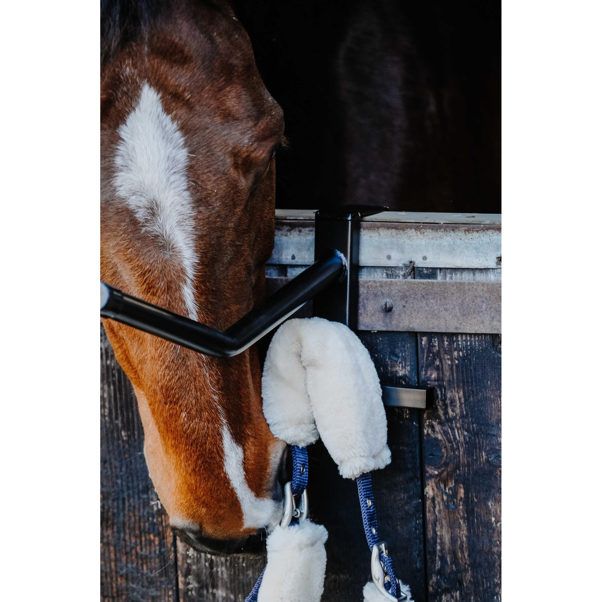 Hippo-Tonic Portable saddle rack Black 704246002