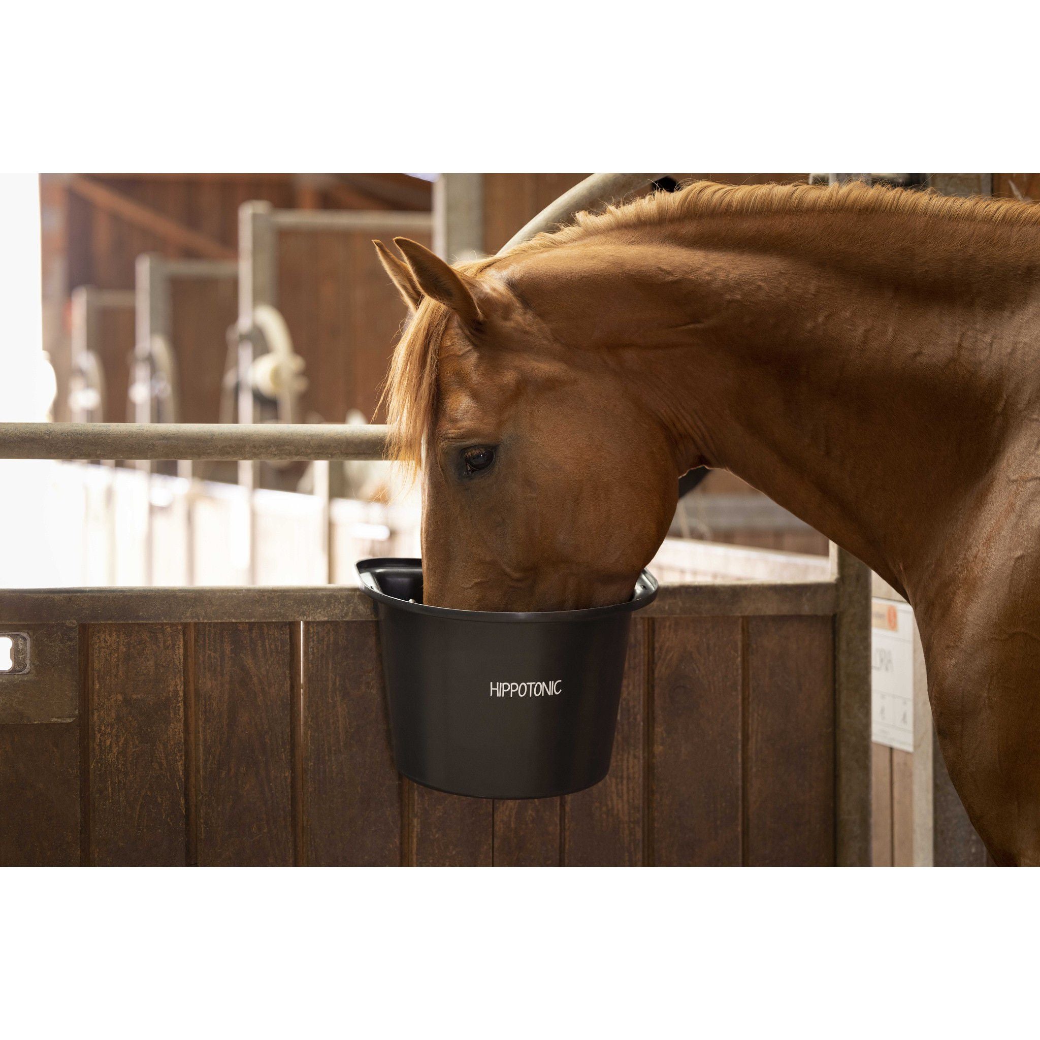 Hippo-Tonic Door hang feeder Black 704202002