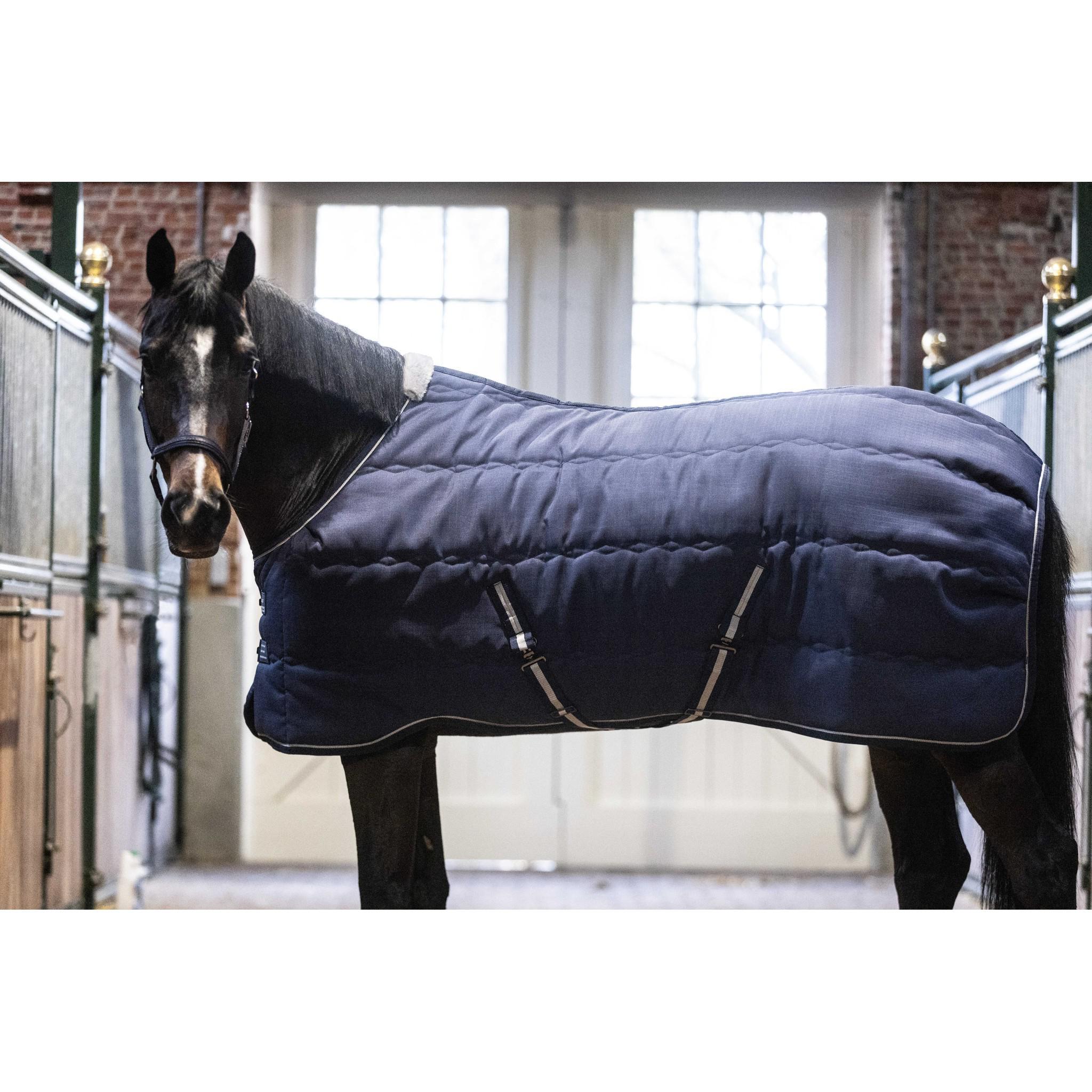 Lami-Cell Stable Master Stable Rug Navy blue 400766060