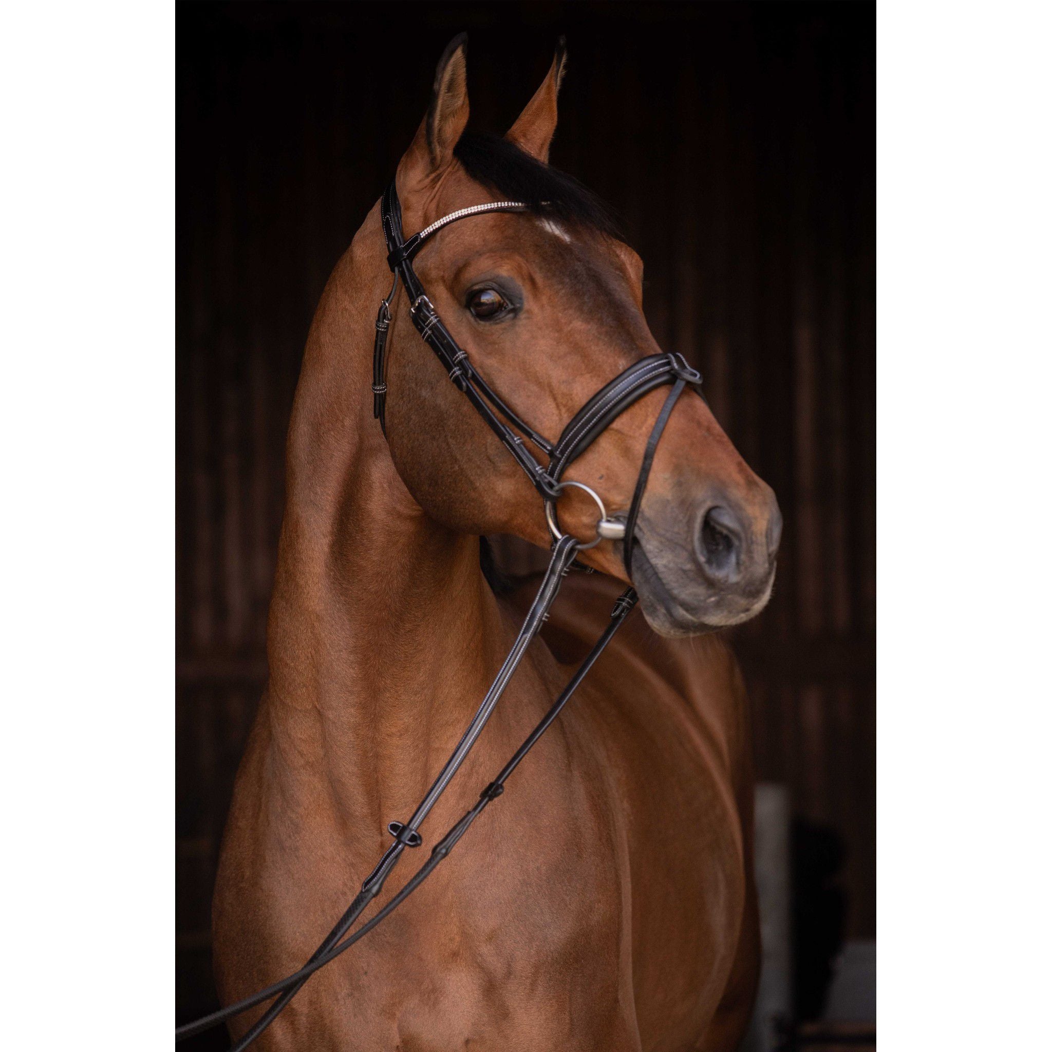 Pénélope Daily Strass Bridle Black 301613302