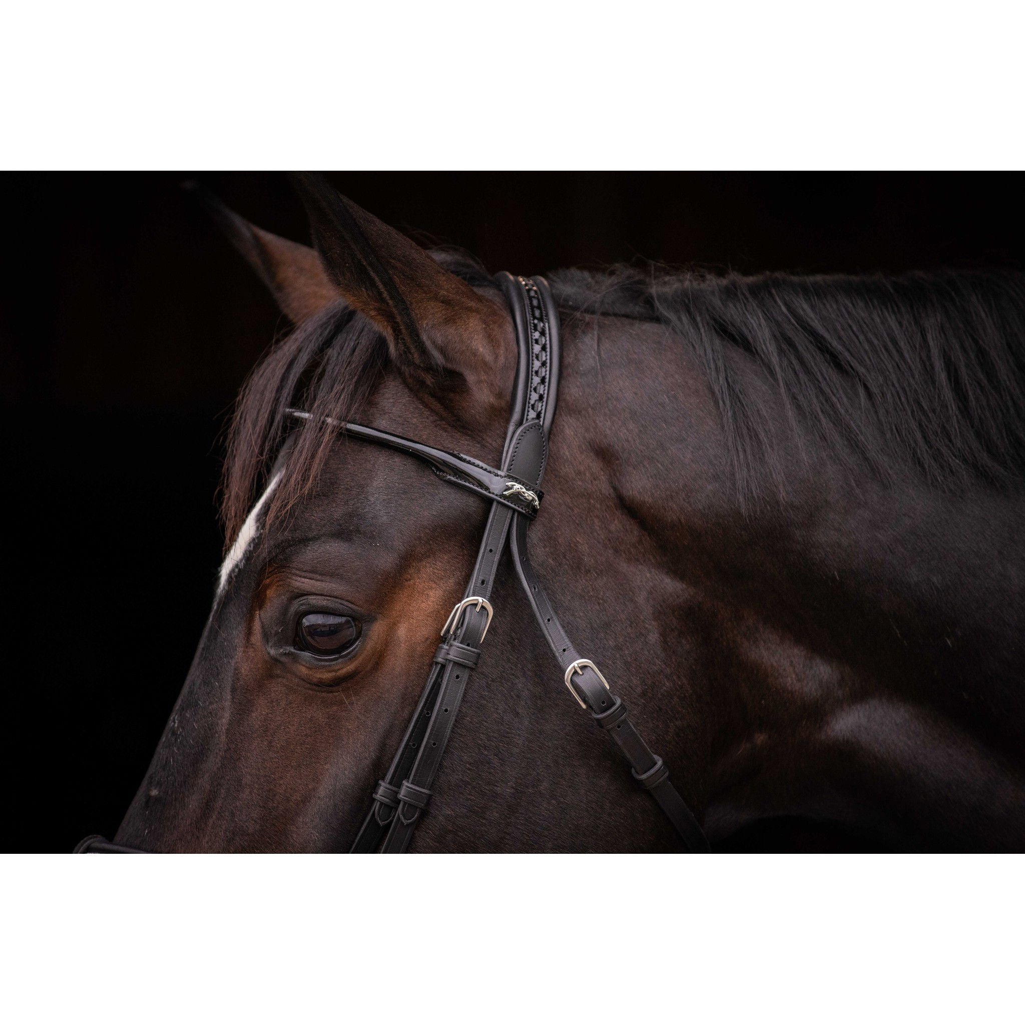 Pénélope Symphonie Bridle Black 301612302