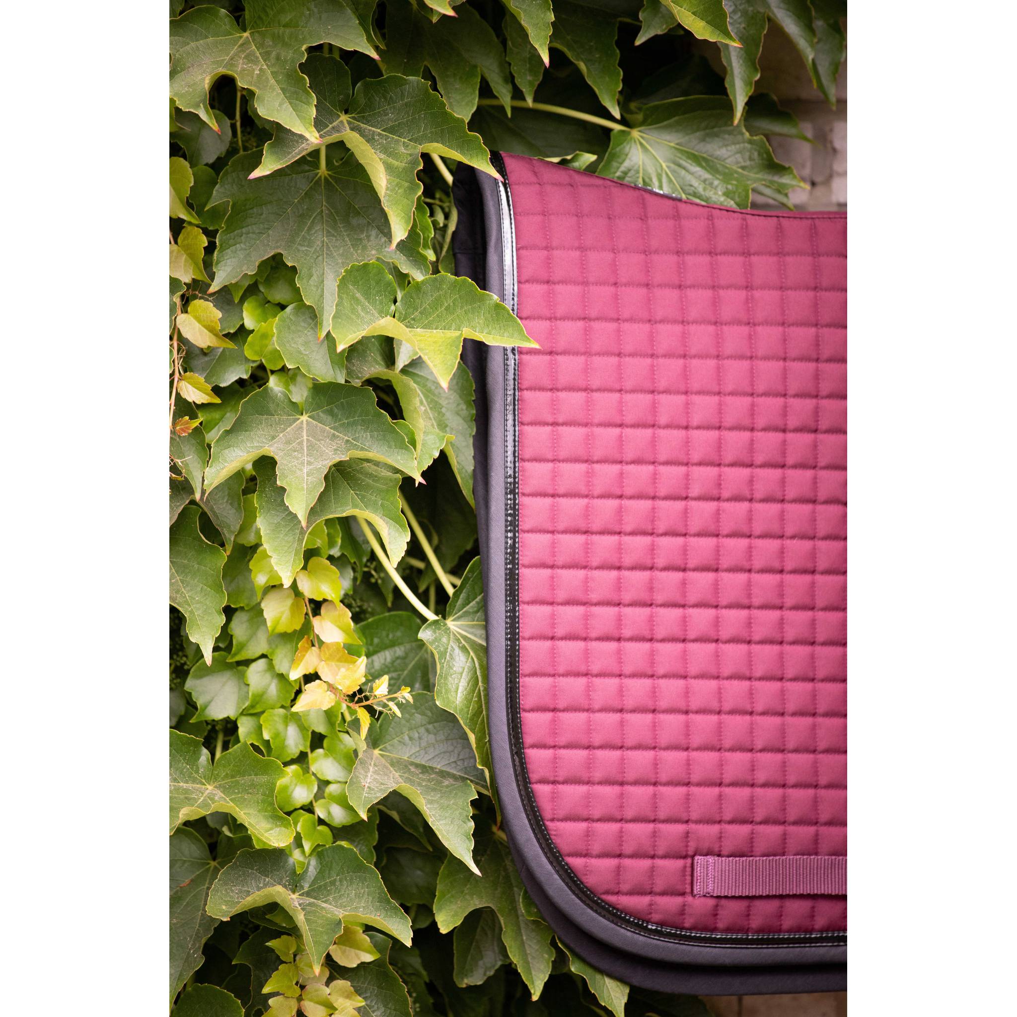 Paddock Sports American Dressage Saddle Pad Plum - 204745034_ambi_8