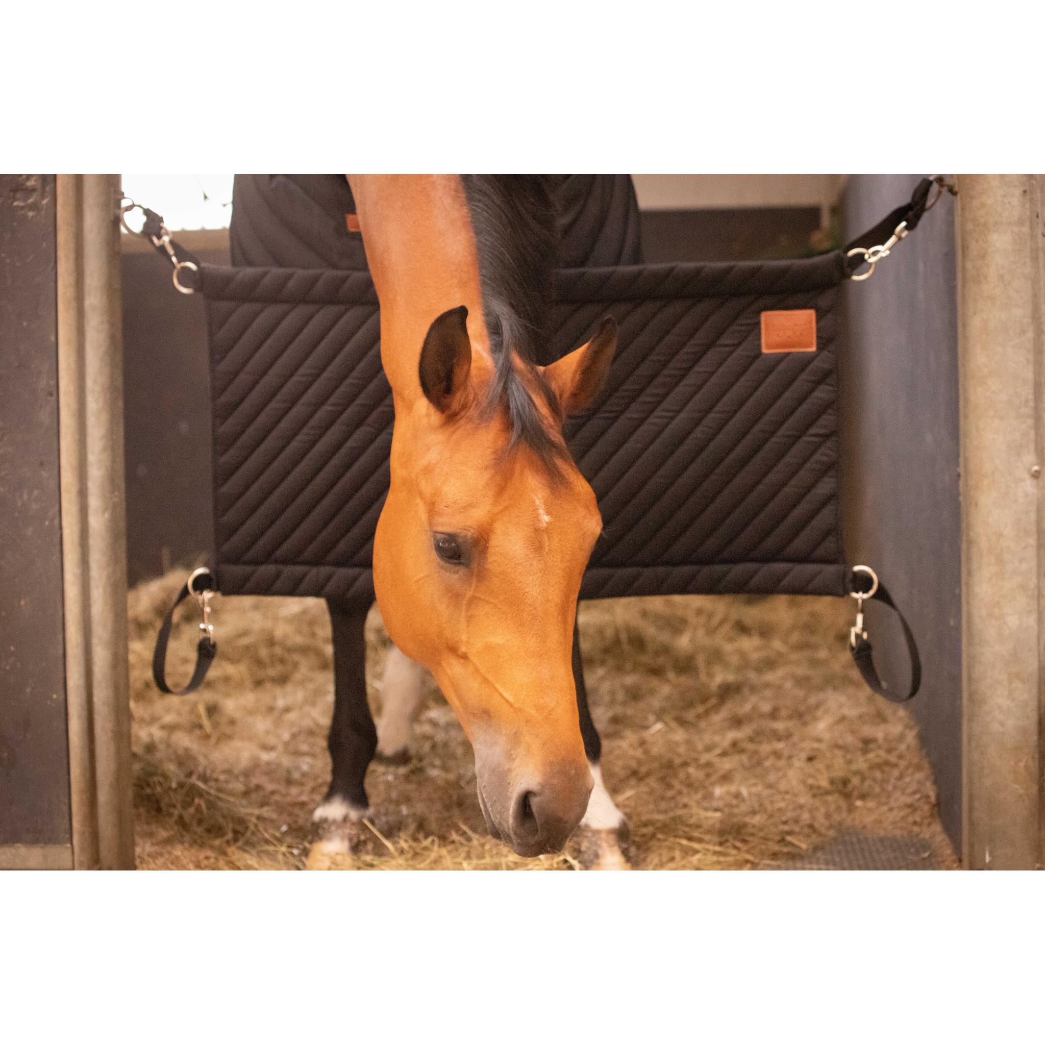 Paddock Sports Stall door Black 935930002