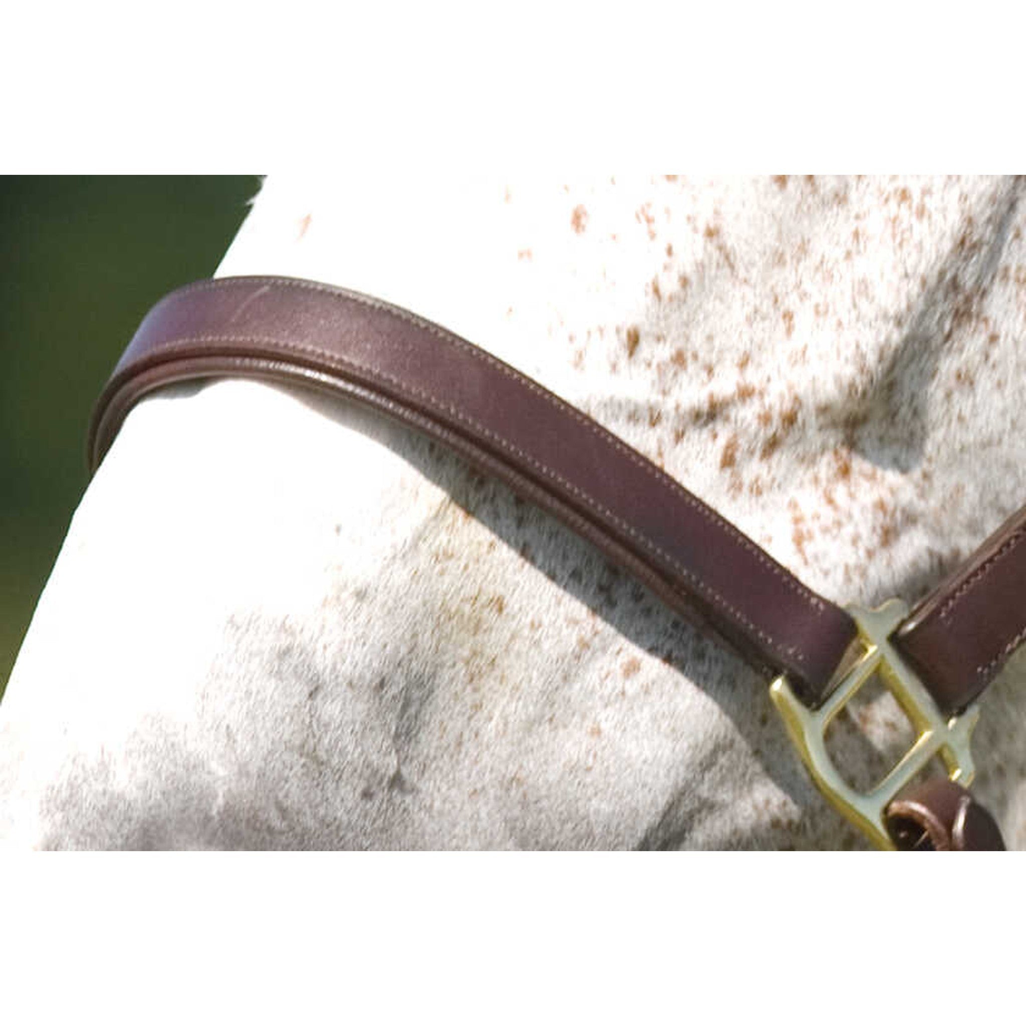 Headcollar with double ajustment Norton Club Havana 510227318