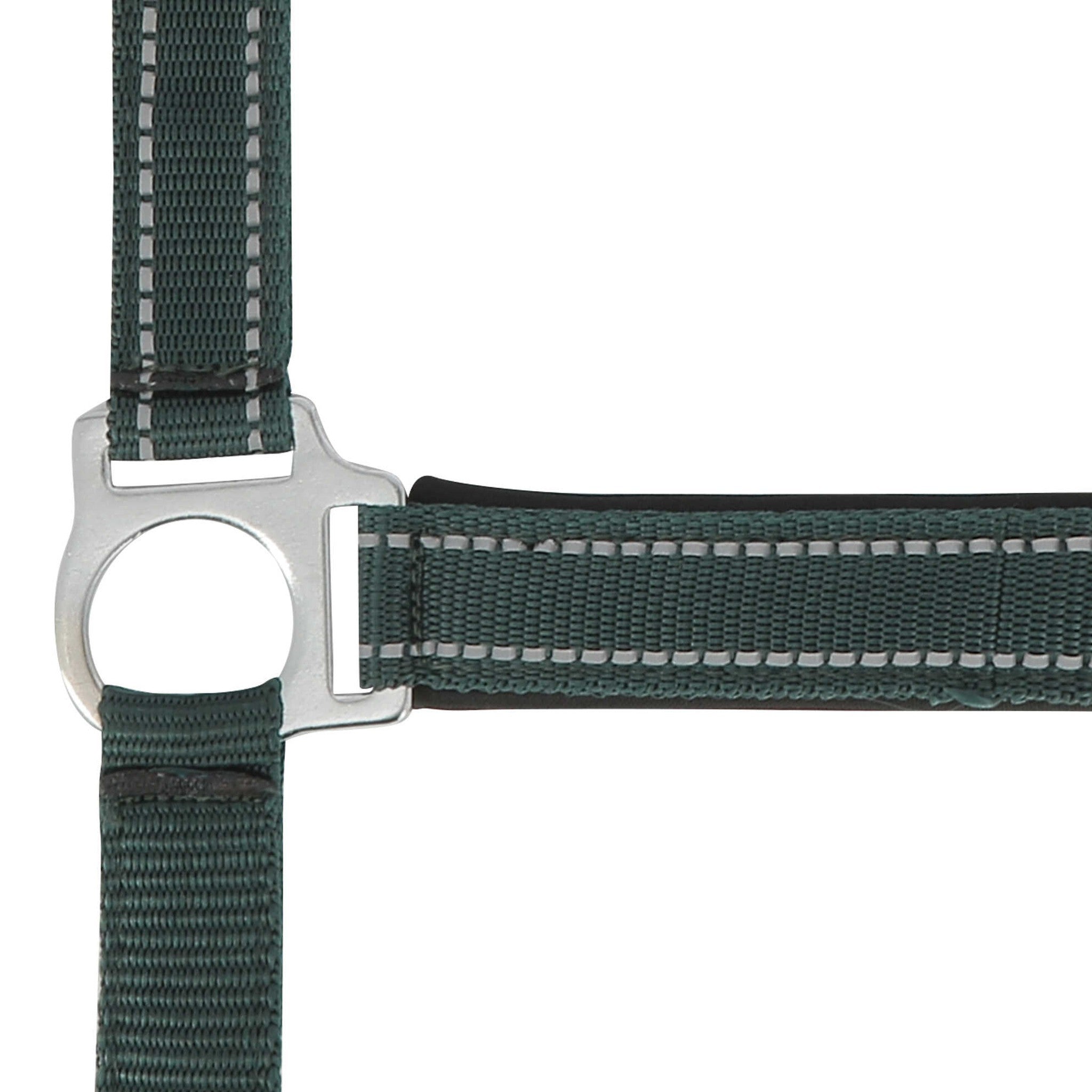 Norton Reflective halter Green 510630308