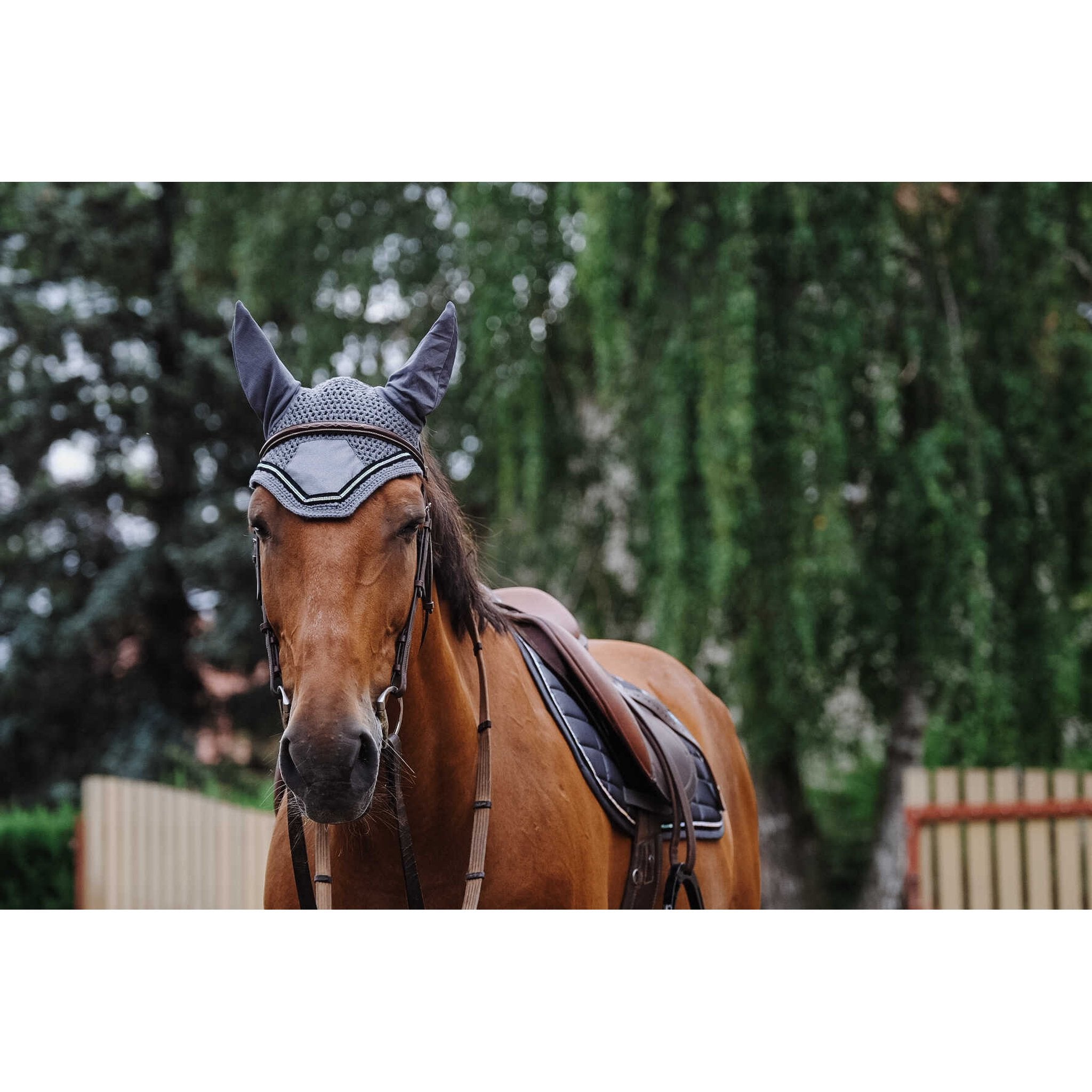 EQUITHÈME Domino Fly Veil Grey - 306975011_ambi_1