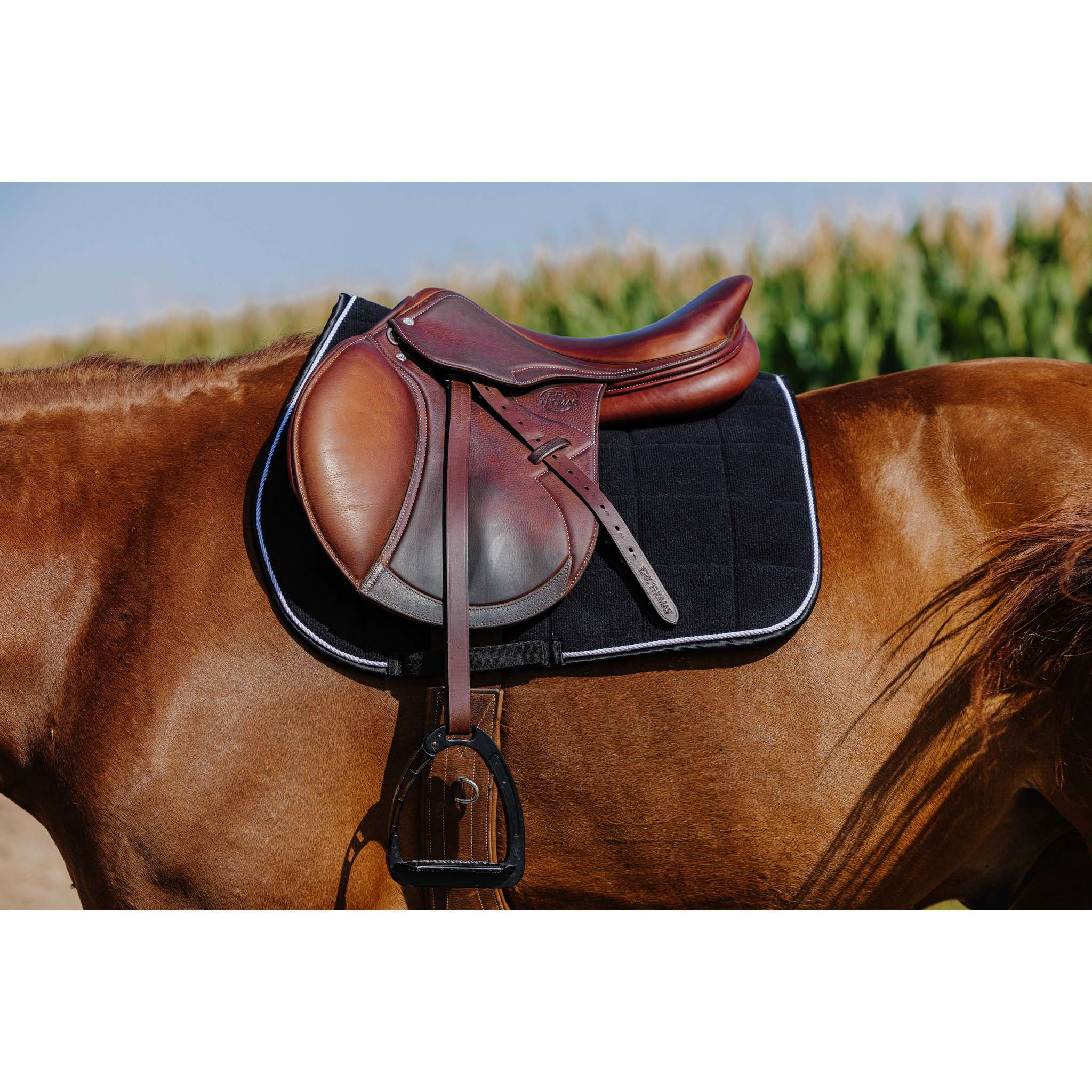Riding World Corduroy saddle pad - All purpose Black 204061002
