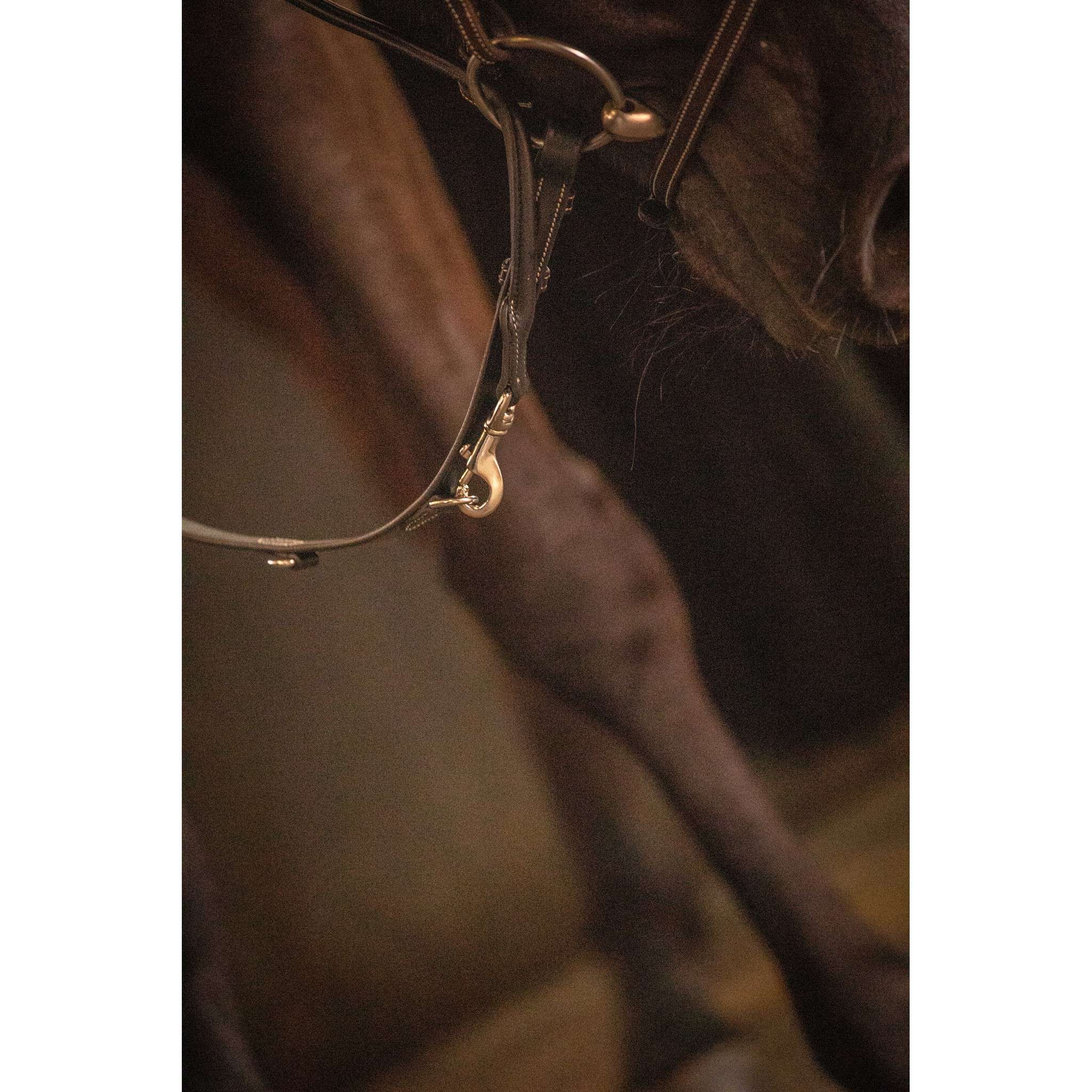 Pénélope Howlett Reins Black 301637302