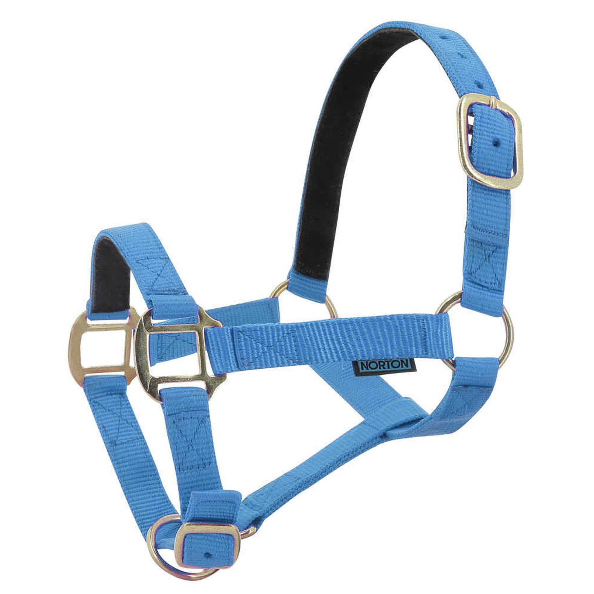 Norton Leather lined nylon headcollar Light blue 510175012