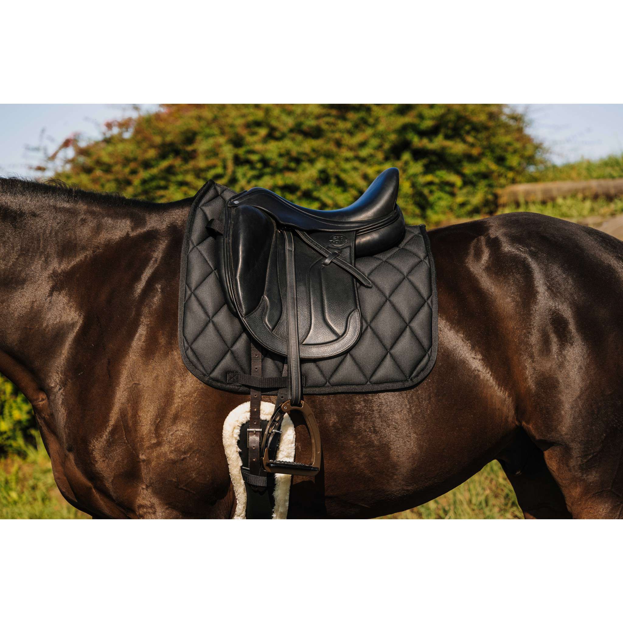 Riding World School Saddle Pad - Dressage Black 204014002