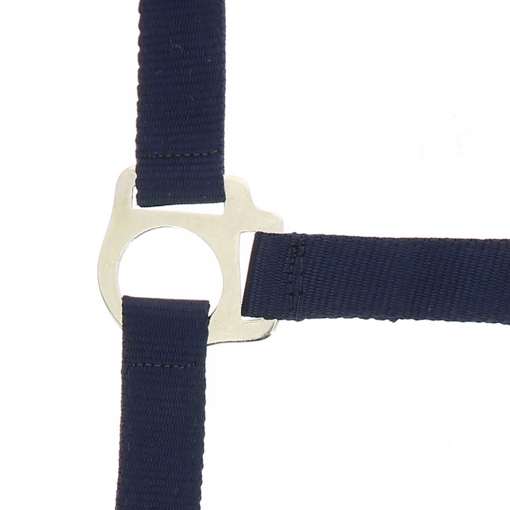 Riding World Club Headcollar and leadrope set Navy blue 510118307
