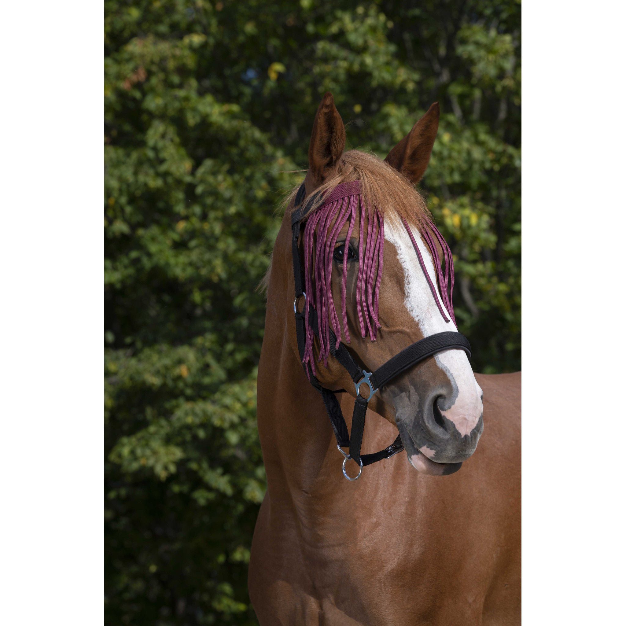 Norton bowband with fly fringes Burgundy 306730333