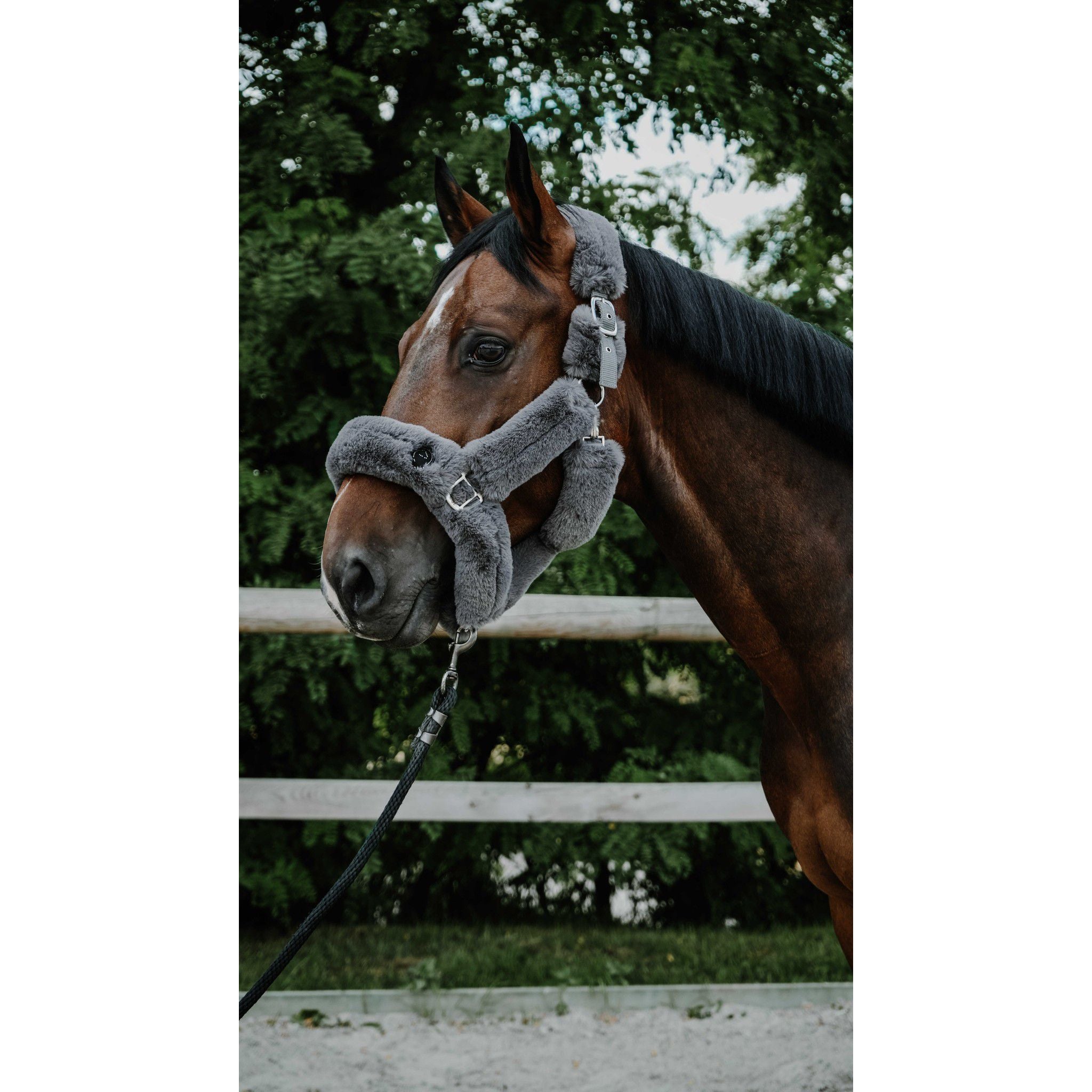 Je t'aime EQUITHÈME Snuggy Halter Grey 510274311