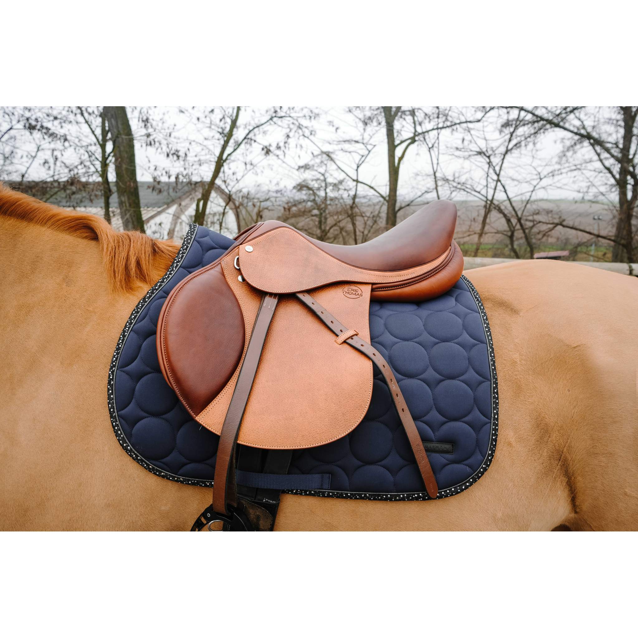 EQUITHÈME Disco All-Purpose Saddle Pad Navy blue - 204018007_ambi_2