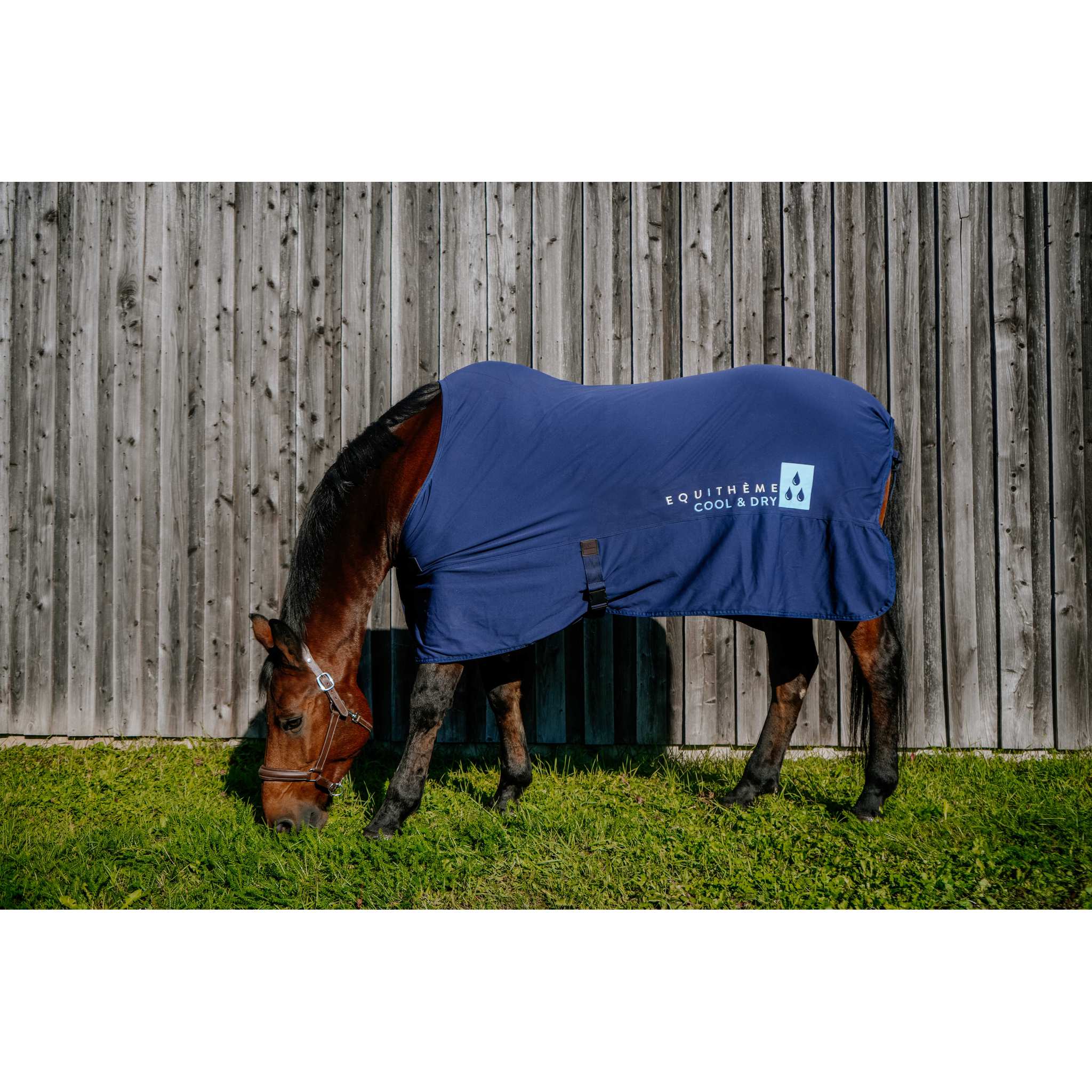 EQUITHEME FRESH Cool&dry Refreshing Sheet Navy blue - 400782063_ambi_1