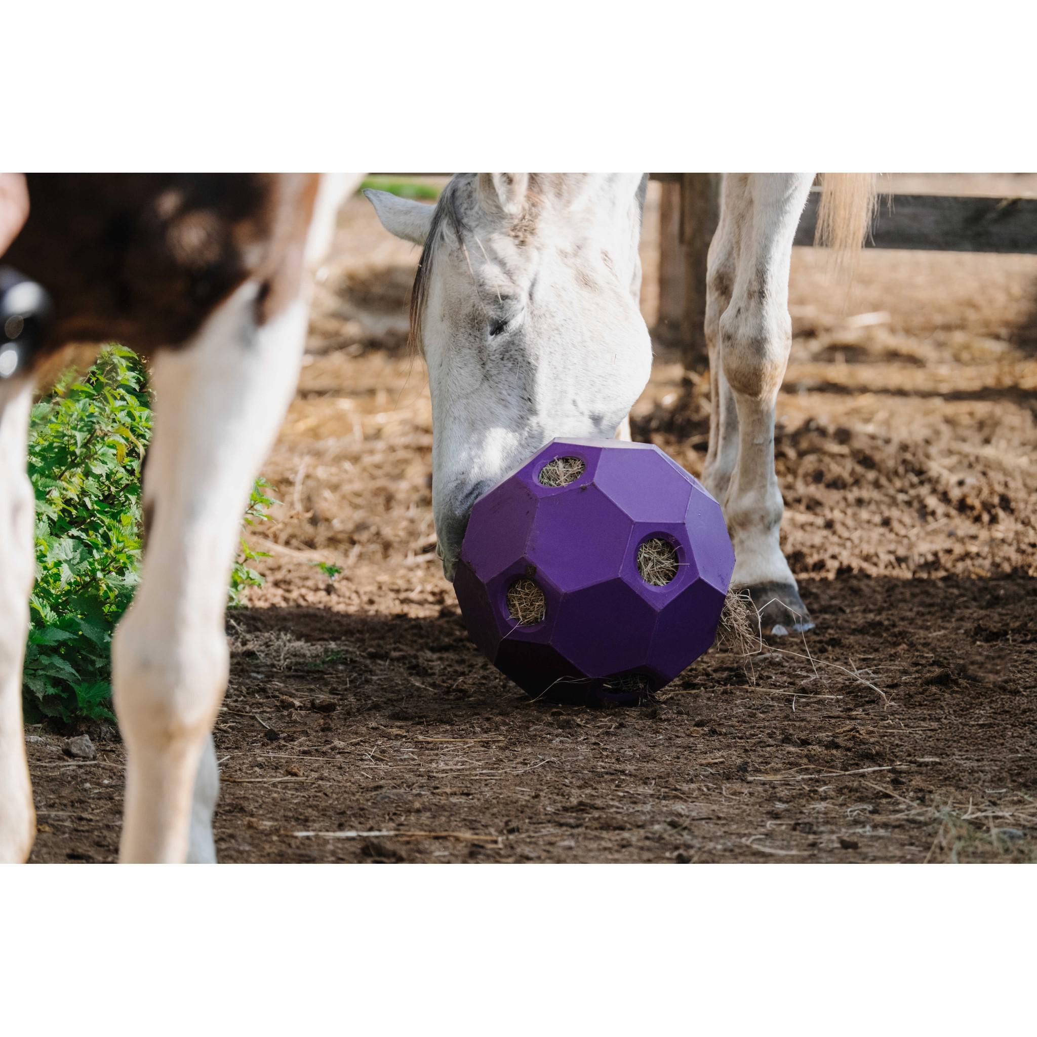 Hippo-Tonic Slow Feeder Hay Ball Purple 900115015