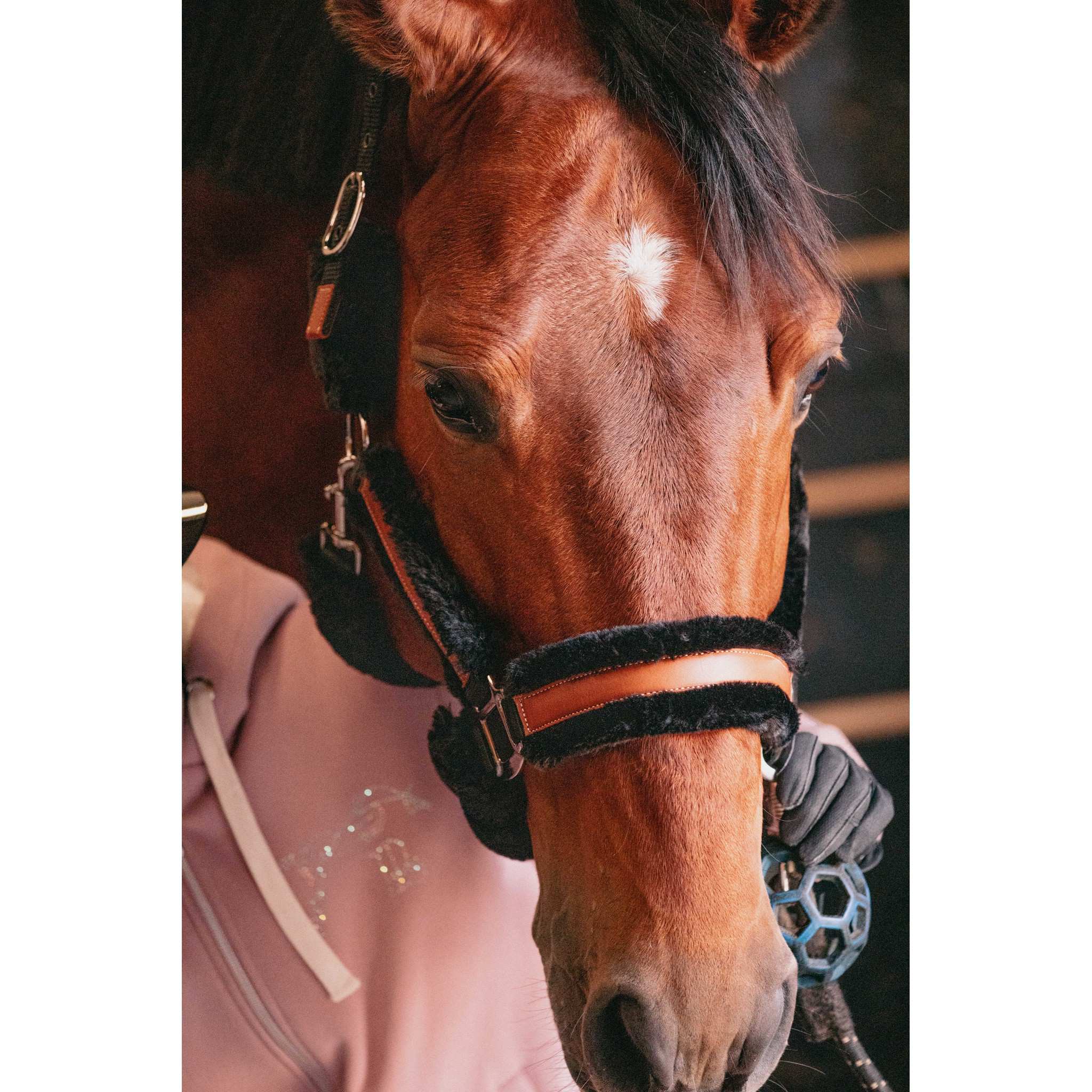 Pénélope Soft halter Black/ecru 510902325