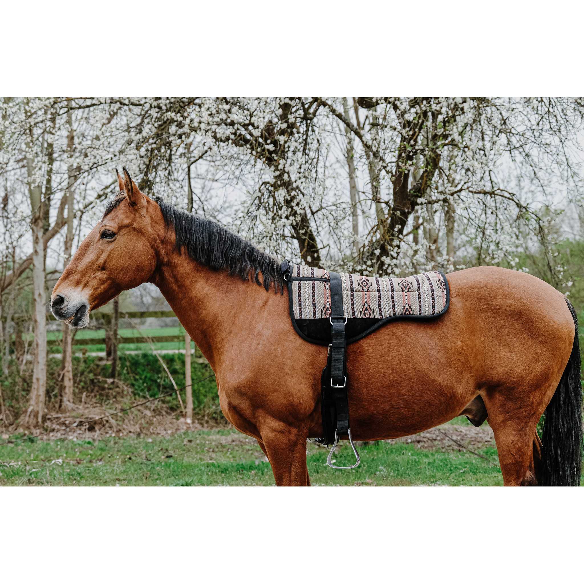 Norton Kiowa Bareback Riding Pad Khaki 101055004